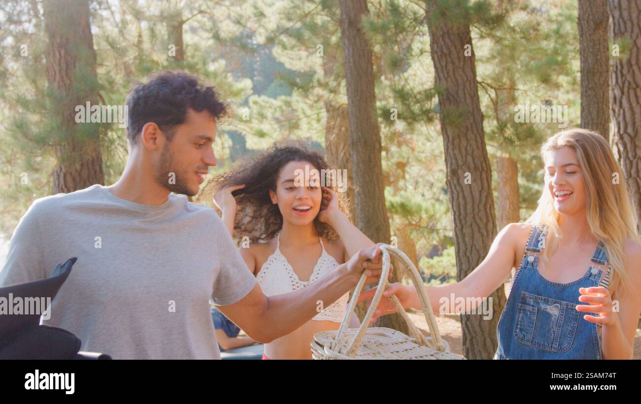 Gruppe Junger Freunde Im Sommerurlaub, Die Ein Picknick Im Wald Genießen Stockfoto