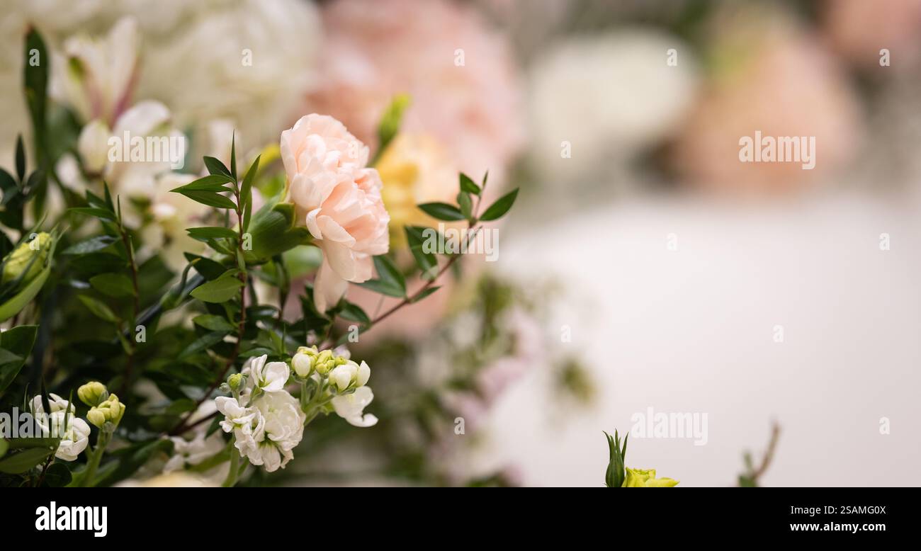 Wunderschöner Blumenstrauß mit einer rosa Blume in der Mitte. Die Blumen sind eine Mischung aus weiß und Rosa, was einen schönen Kontrast schafft Stockfoto