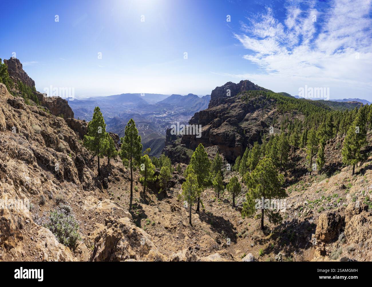 Blick in das Tal der Caldera de Tirajana, Kiefernwald rund um den Gipfel von El Campanario, Gran Canaria, Kanarische Inseln, Spanien, Europa Stockfoto
