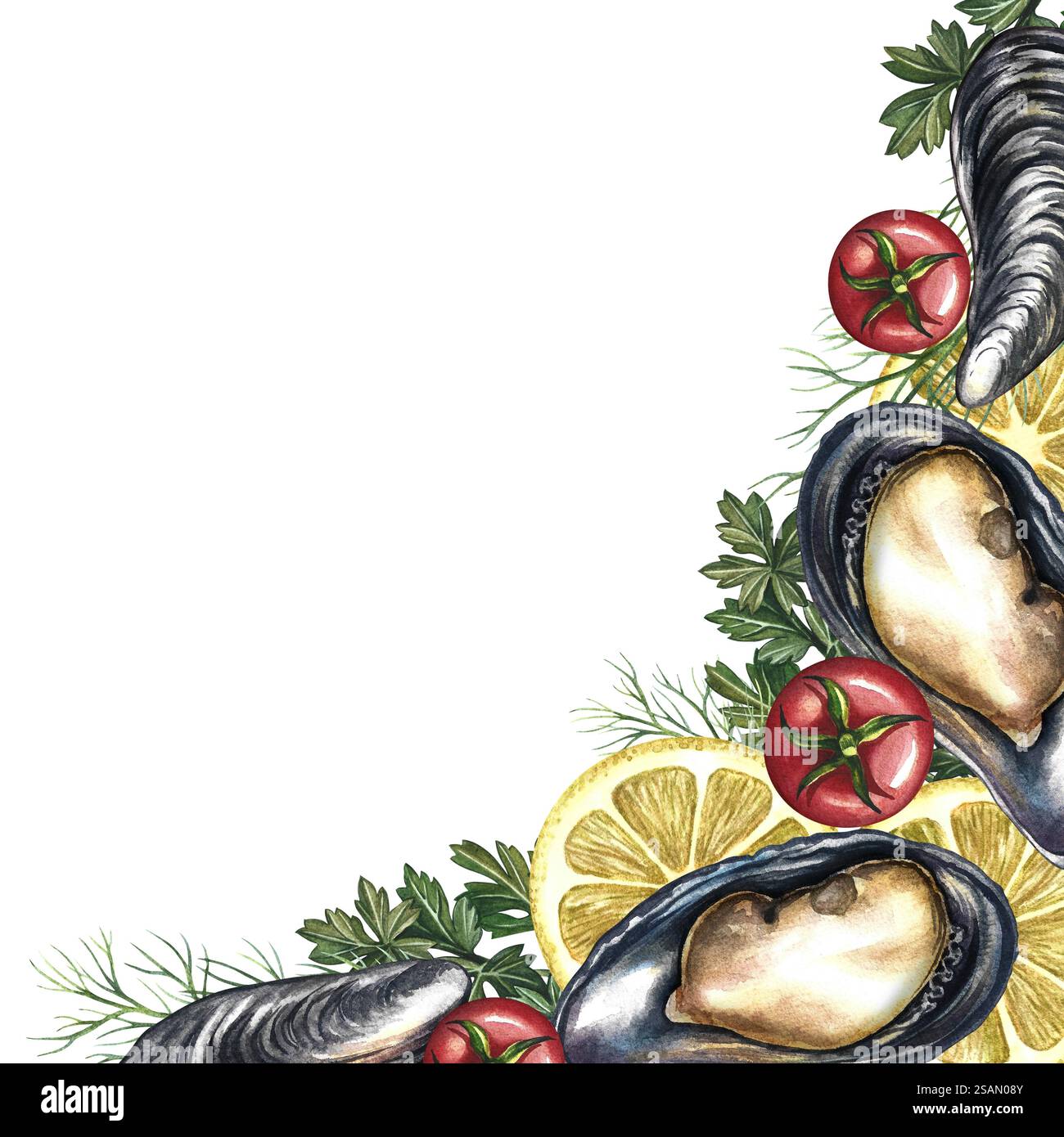 Eckrahmen mit Muscheln, Zitrone, Kräutern und Kirschtomaten. Handgemachte Aquarellillustration. Ein Farbbild einer Vorlage für Meeresfrüchte. Auf einem weißen Hintergras Stockfoto