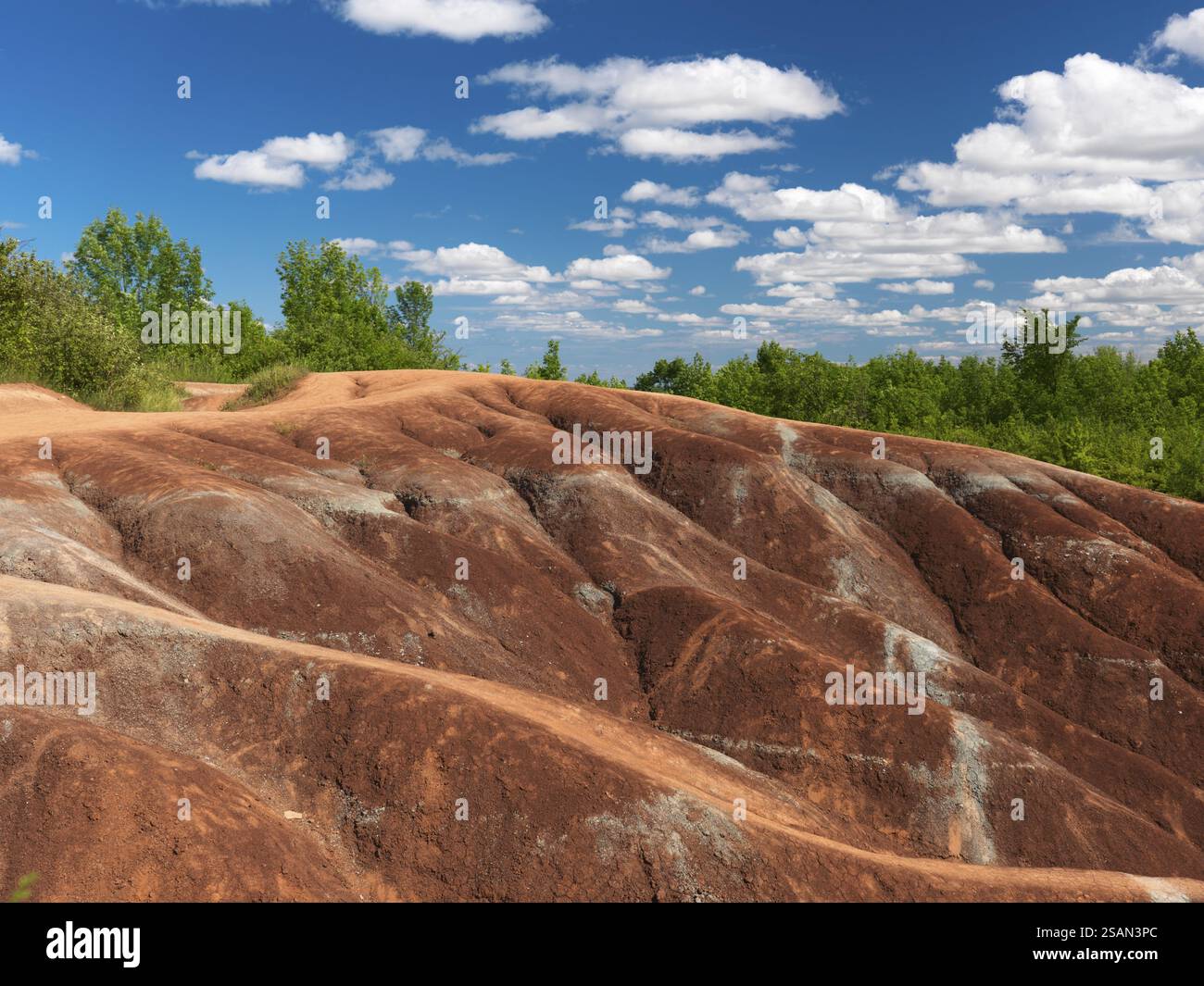 Cheltenham Badlands Ontario Kanada im Sommer landschaftlich reizvoll. Marsähnliche Landschaft, geformt aus rot-grau erodiertem Ton Stockfoto