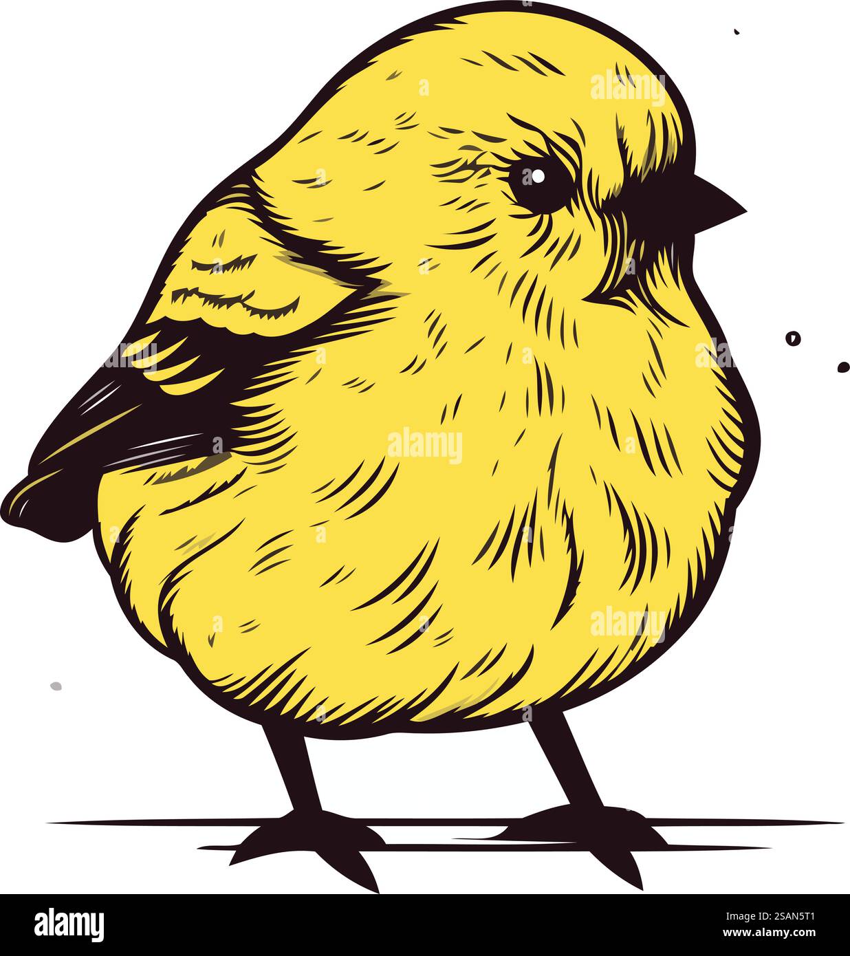 Abbildung eines kleinen Vogels auf weißem Hintergrund. Vektorabbildung Stock Vektor