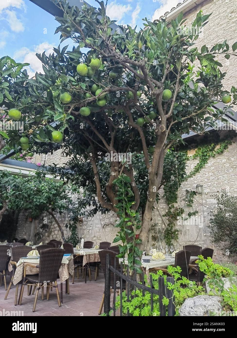 Authentisches Restaurant mit einem Garten mit Mandarinenbäumen in Petrovac, Montenegro Stockfoto