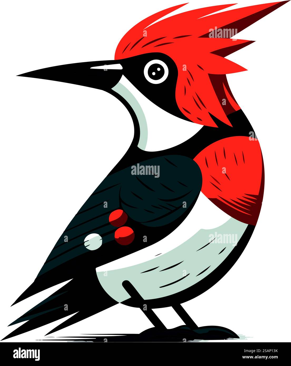 Vektorbild eines Rotspechts. Stock Vektor