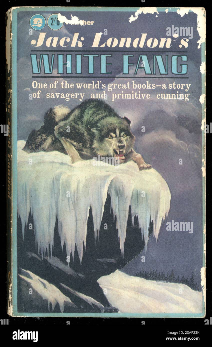 Vintage 1960 Taschenbuch-Cover White Fang des amerikanischen Autors Jack London (1876–1916) über die Reise eines wilden Wolfhundes zur Domestikation im Yukon-Territorium und in den Nordwest-Territorien Amerikas während des Klondike Gold Rush der 1890er Jahre. Das Editon erschien erstmals 1907 und erschien 1963 Stockfoto
