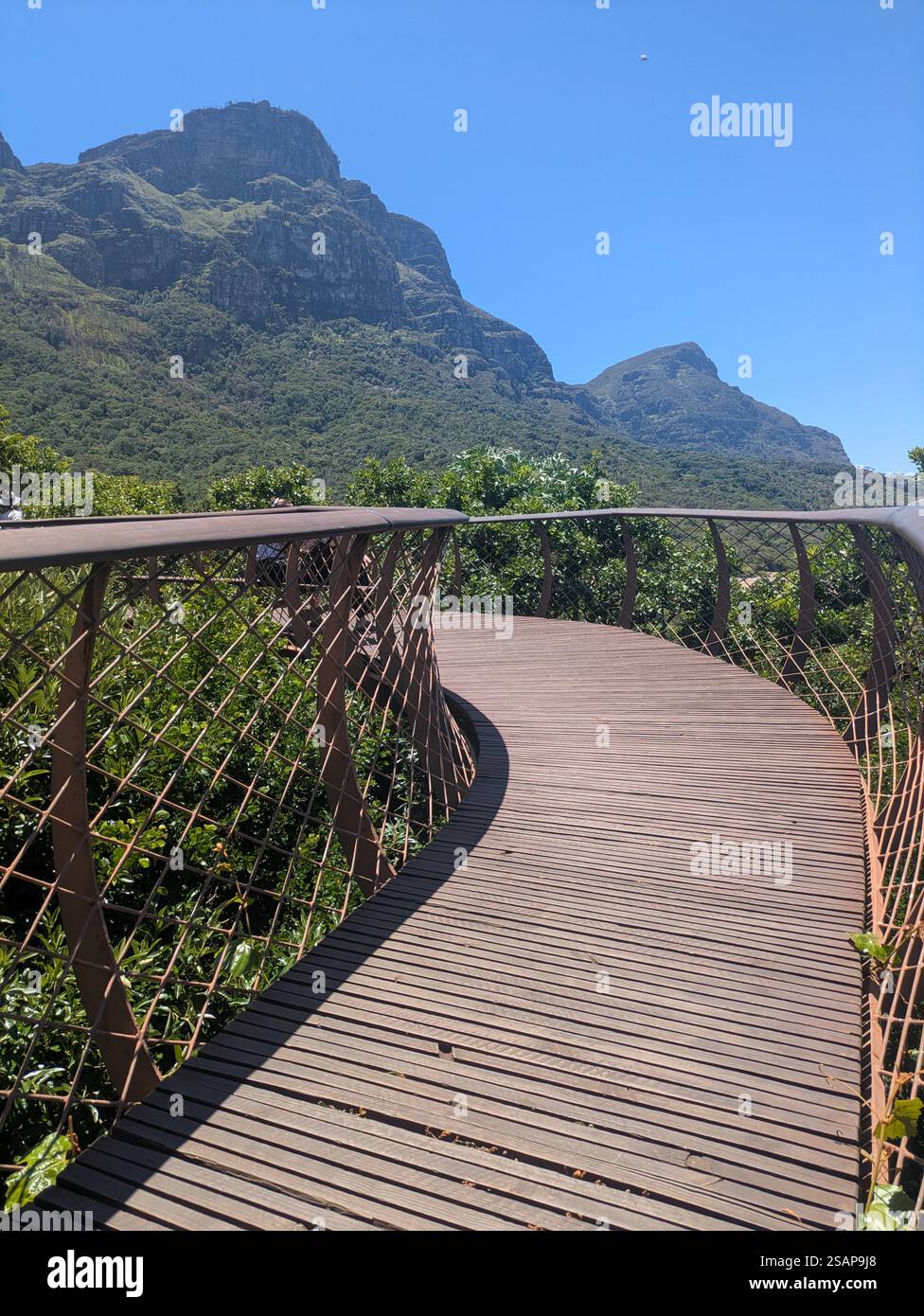 kirstenbosch botanischer Garten Baumsteg Stockfoto
