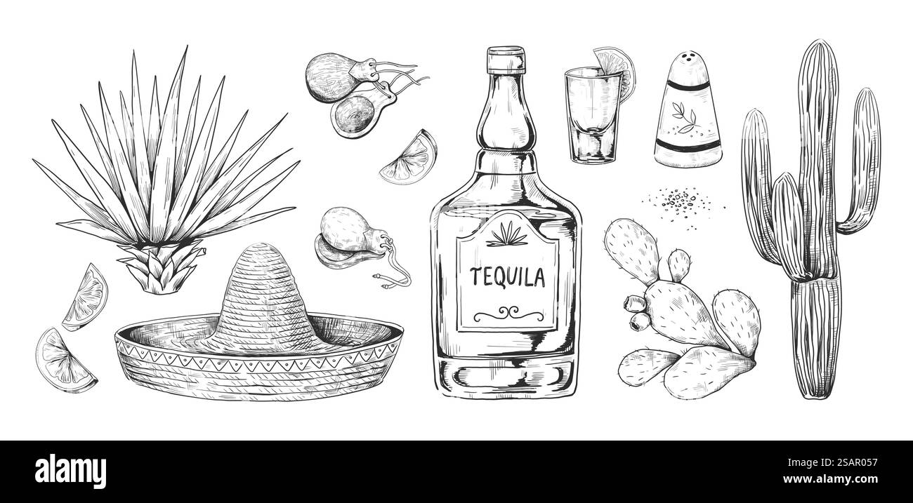 Tequila-Skizze. Handgezogenes mexikanisches Alkoholgetränk aus Agave mit Salz und Zitrone. Gravur alkoholischer Getränke und Kakteen. Isolierte Sombrero und Kastanetten. Vektor-Retro-Zeichnungen für das Balkenmenü festgelegt. Tequila-Skizze. Handgezogenes mexikanisches Alkoholgetränk aus Agave mit Salz und Zitrone. Gravur alkoholischer Getränke und Kakteen. Sombrero und Castanets. Vektorzeichnungen für das Balkenmenü festgelegt Stock Vektor