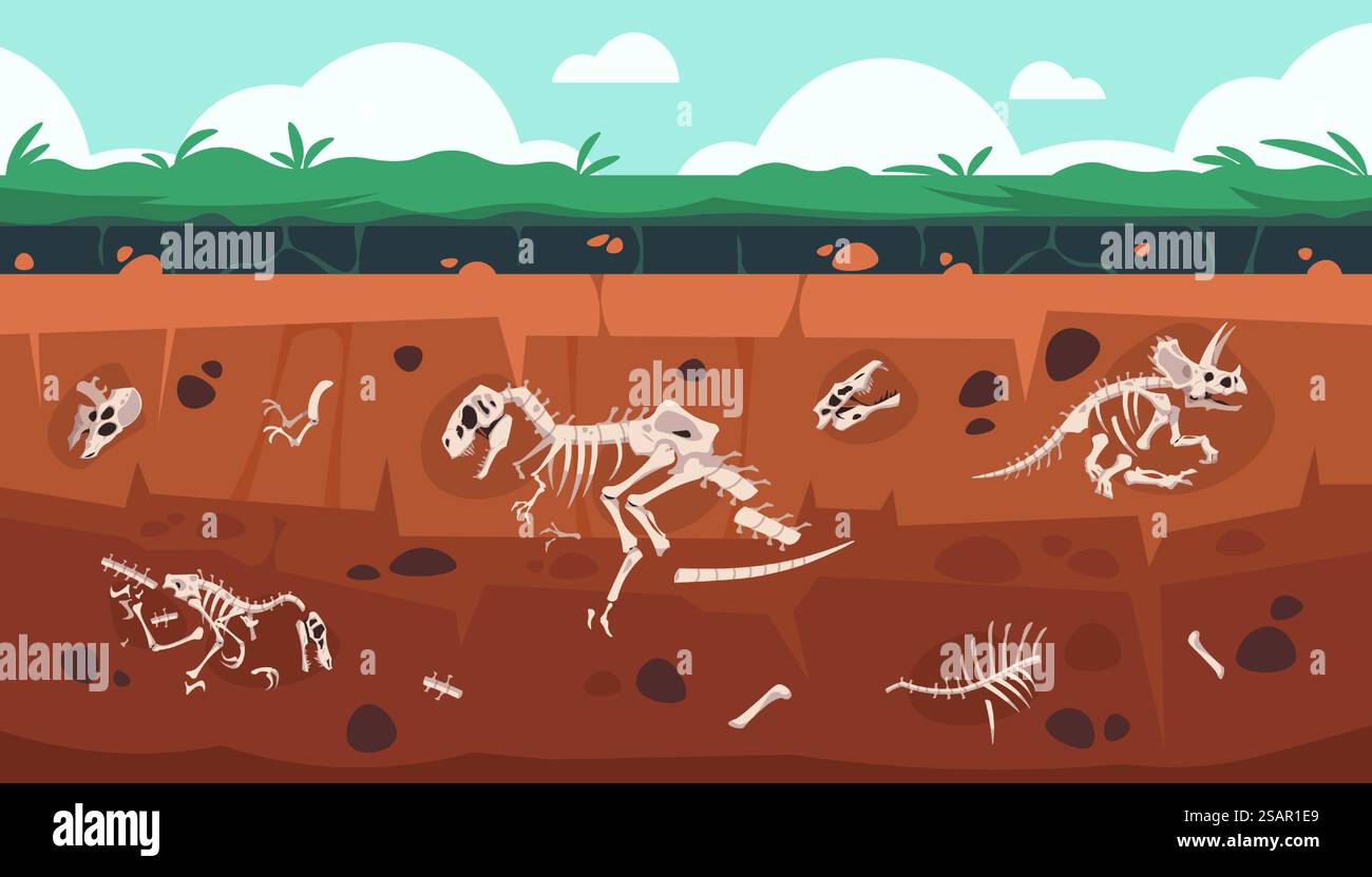 Unterirdisches Fossil Cartoon Erde Bodenschichten mit prähistorischem Dinosaurierskelett und Schädel. Alte ausgestorbene Reptilienknochen wissenschaftliche Entdeckungen. Vektorgeologie und paläontologische Grabungsillustration. Unterirdisches Fossil Cartoon Erde Bodenschichten mit Dinosaurierskelett und Schädel. Ausgestorbene Reptilienknochen wissenschaftliche Erkundung. Vektorgeologie und paläontologische Grabungsillustration Stock Vektor