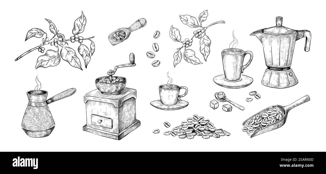 Handgezeichneter Kaffee. Skizze der Arabica-Bohnen-Kollektion. Handschleifer und Holzlöffel, Geysir-Getränkeautomat oder Metallcezve. Isolierte Anlagenzweige. Tassen für heißes Morgengetränk, Vektorset. Handgezeichneter Kaffee. Skizze der Arabica-Bohnen. Handschleifer und Holzlöffel, Geysir-Getränkeautomat oder Metallcezve. Isolierte Anlagenzweige. Tassen für Morgengetränk, Vektorset Stock Vektor