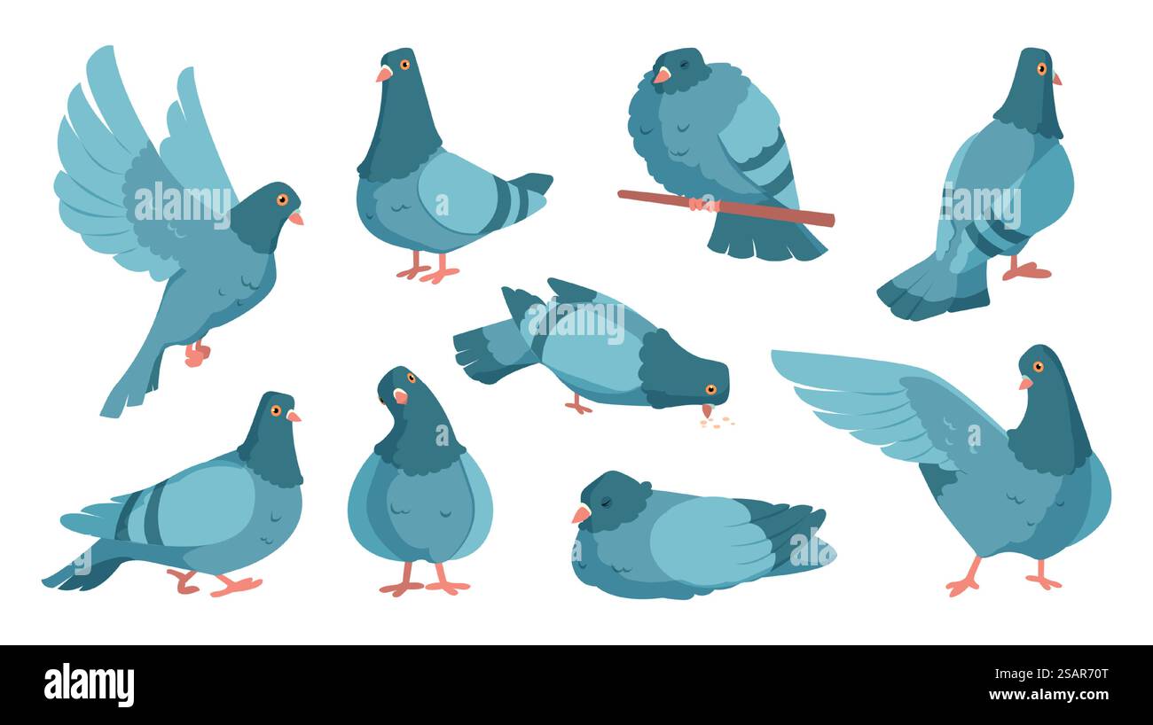 Cartoon-Taube. Niedliche Taubenfigur stehend und fliegt. Herde gezogener grauer Vögel in Bewegung. Isoliertes wildes Tier der Stadt mit Flügeln, die schlafen oder essen. Symbol für Frieden und Freiheit. Vektor-urbane Fauna Set. Cartoon-Taube. Niedliche Taubenfigur stehend und fliegt. Herde von Grauvögeln in Bewegung. Wildes Tier der Stadt mit Flügeln, die schlafen oder essen. Symbol für Frieden und Freiheit. Vektor-urbane Fauna Set Stock Vektor