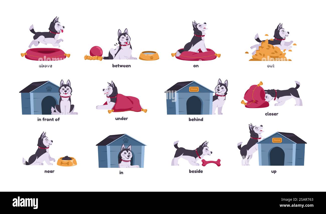 Englische Präpositionen mit Hunden. Cartoon-Hündchenfiguren stehen und sitzen hinter oder über verschiedenen Objekten. Haustier vor dem Kissen. Niedliches Haustier in der Kabine. Vektor-isoliertes Husky-Set. Englische Präpositionen mit Hunden. Cartoon-Welpe, der hinter oder über verschiedenen Objekten steht und sitzt. Haustier vor dem Kissen. Haustier in der Kabine. Vektor-isoliertes Husky-Set Stock Vektor