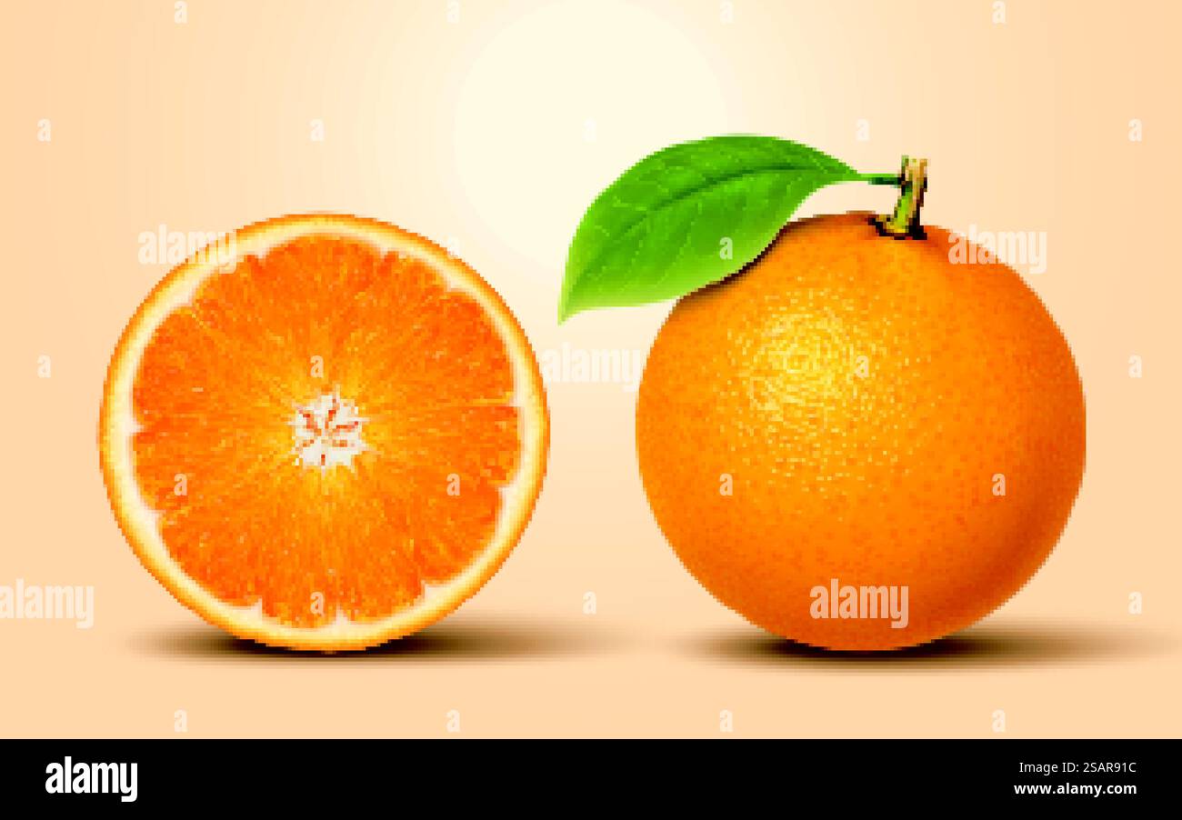 3D Illustration Zitrusfrüchte Stock Vektor