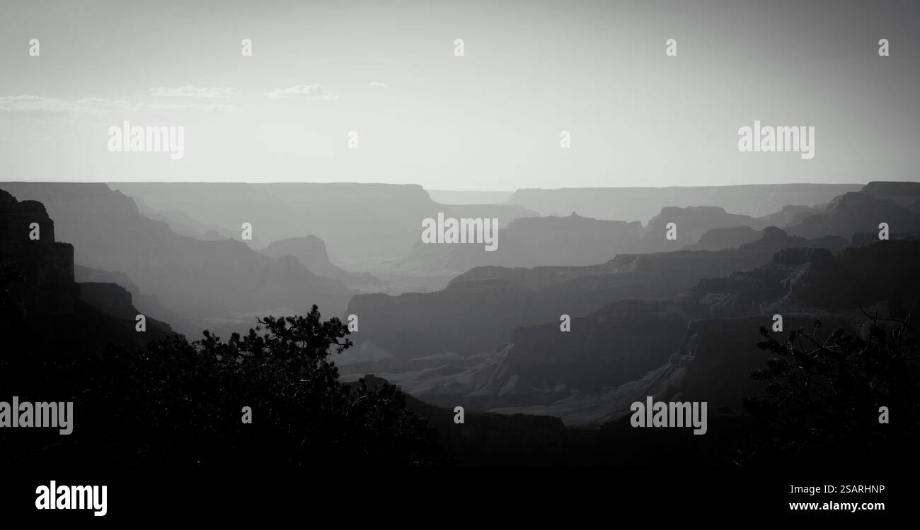 Schwarzweiß-Panoramafoto des Grand Canyon in Arizona mit geschichteten Felsformationen und einem dramatischen, stimmungsvollen Horizont. Eine zeitlose Landschaft Stockfoto