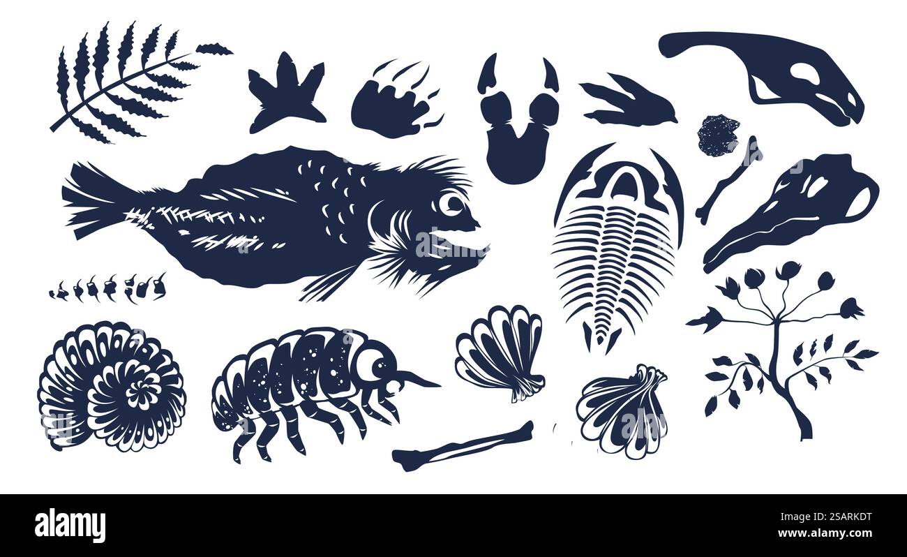 Prähistorische Kreaturen, Knochen, Unterwassertiere, Fischskelett, Muscheln, Käfer, Fußabdrücke und Pflanzen Fossilien Silhouette Vektor Illustration isoliert auf weißem Hintergrund. Prähistorische Kreaturen, Knochen, Unterwassertiere und Pflanzen Fossilien Silhouette Stock Vektor Prähistorische Kreaturen, Knochen, Unterwassertiere, Fischskelett, Muscheln, Käfer, Fußabdrücke und Pflanzen Fossilien Silhouette Vektor Illustration isoliert auf weißem Hintergrund. Prähistorische Kreaturen, Knochen, Unterwassertiere und Pflanzen Fossilien Silhouette Stock Vektor