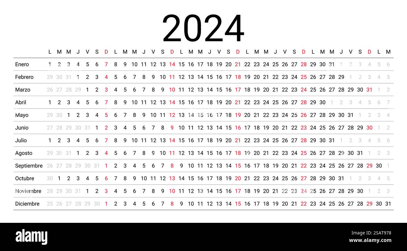 Spanischer Kalender 2024. Linearer Planer für das Jahr. Vorlage für horizontalen Jahreskalender. Tabelle Zeitplan Raster... Spanischer Kalender für 2024 Jahre. Linearer Planer. Vektorabbildung. Stock Vektor