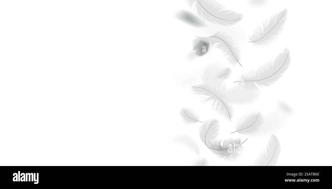 Federn Rand Spalte realistische Vektorillustration. Rahmen aus weißem Vogelgefieder 3D-Designelementen auf transparentem Hintergrund. Modellerstellung Stock Vektor Federn Rand Spalte realistische Vektorillustration. Rahmen aus weißem Vogelgefieder 3D-Designelementen auf transparentem Hintergrund. Modellerstellung Stock Vektor