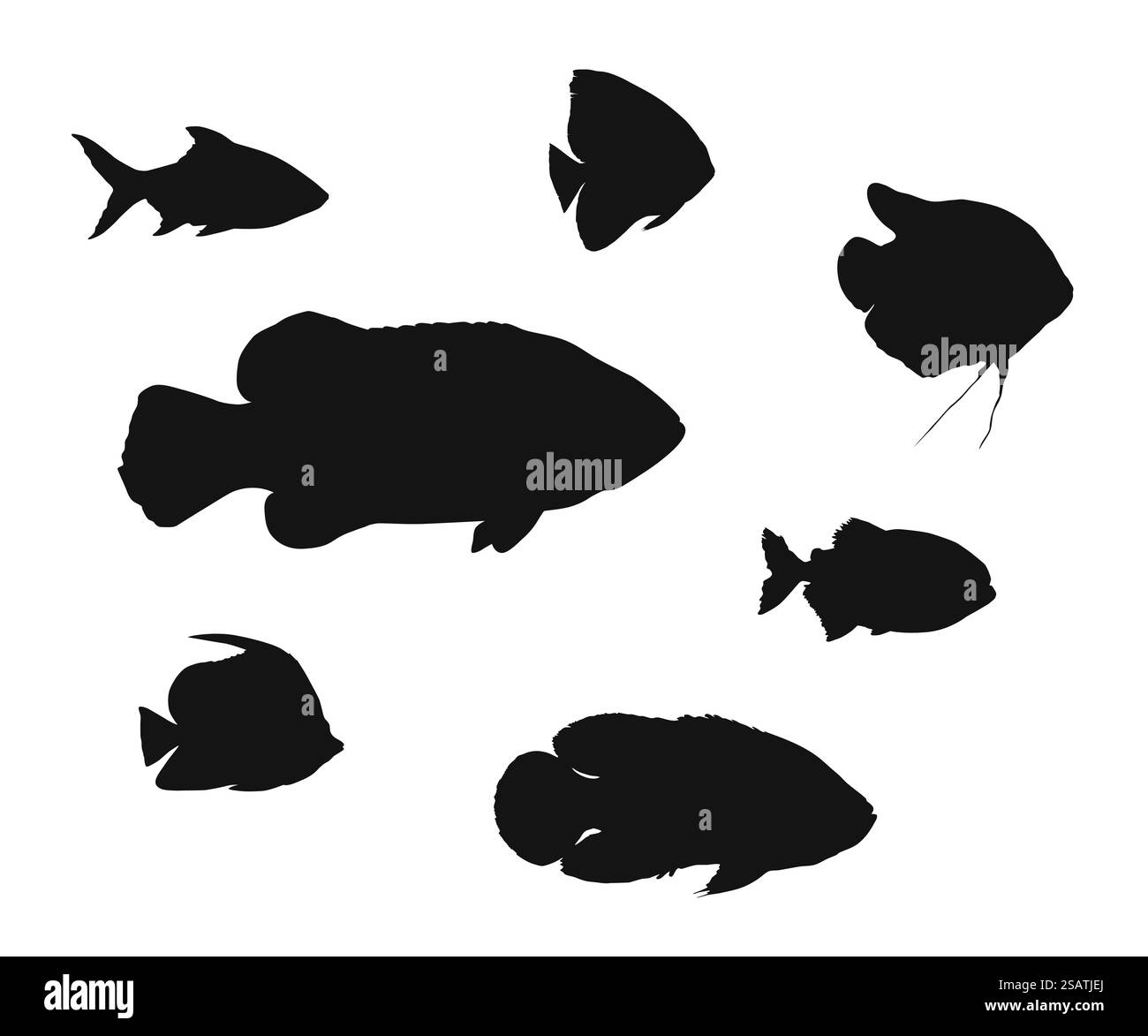 Verschiedene Fischsilhouetten. Vektorabbildung. Verschiedene Fischsilhouetten Stock Vektor