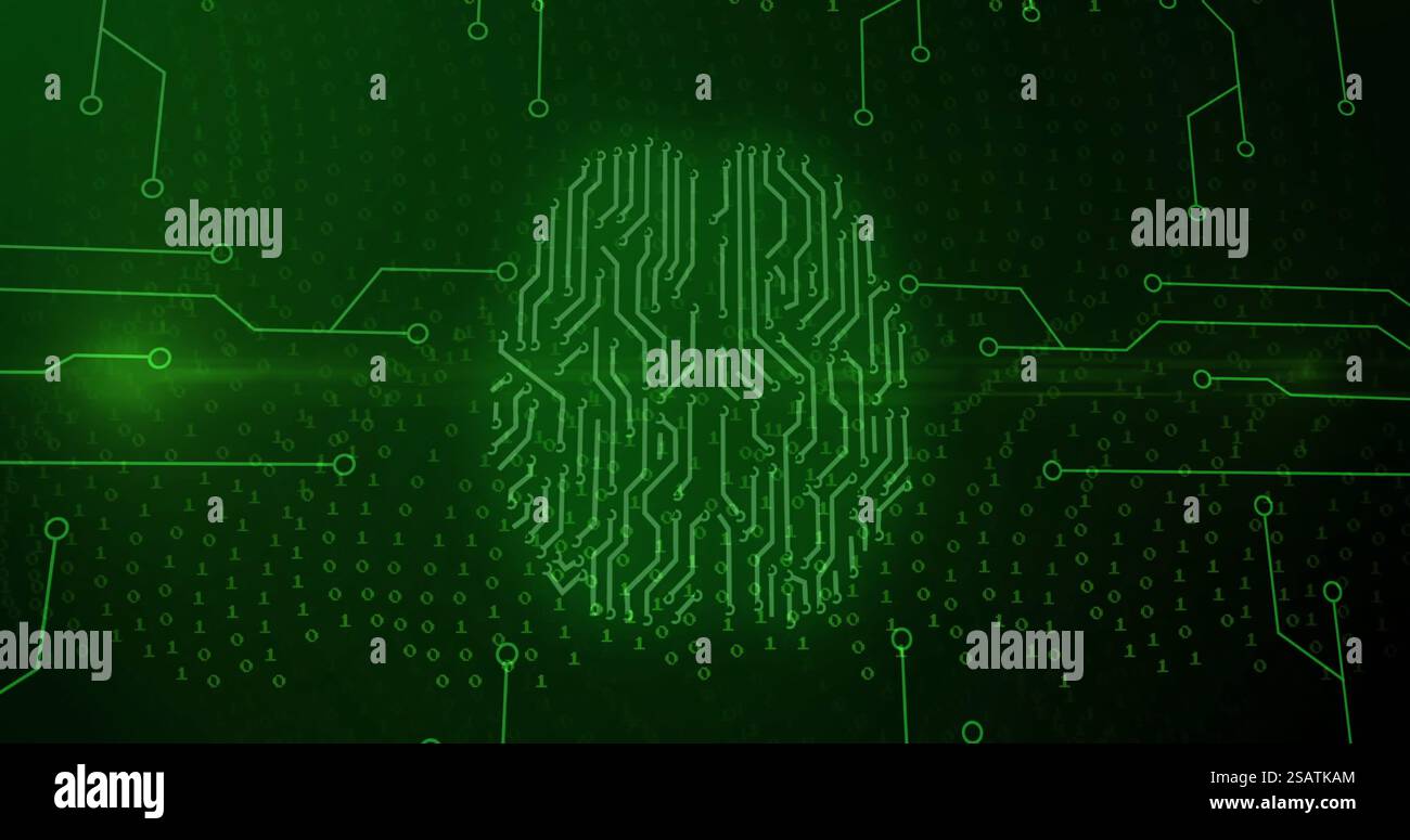 Bild des Netzes von Verbindungen über digitales Gehirn Stockfoto