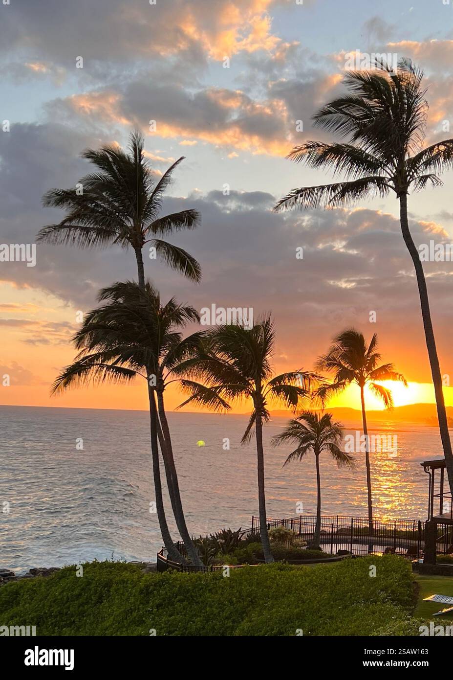 Sonnenuntergang Palmen Stockfoto