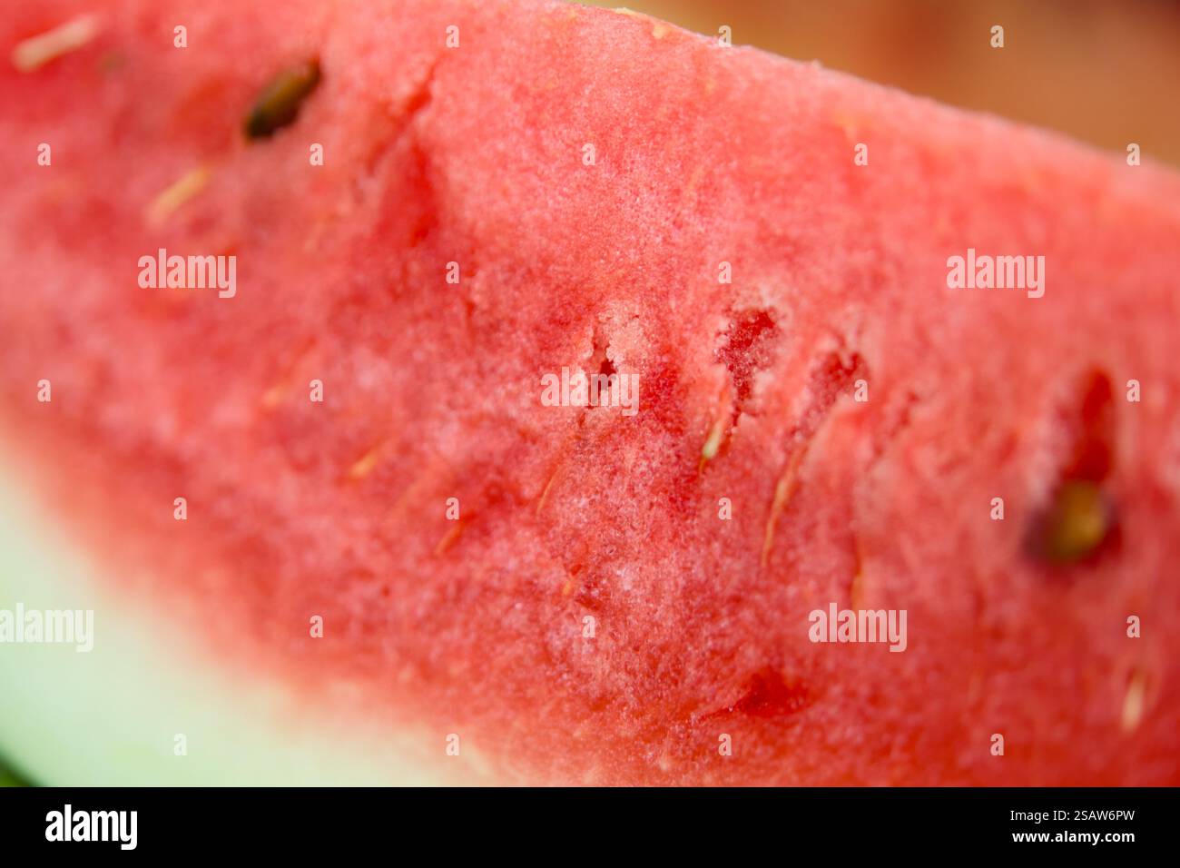 Ein Nahfoto einer saftigen Wassermelonenscheibe mit leuchtendem rotem Fleisch und schwarzen Samen. Stockfoto