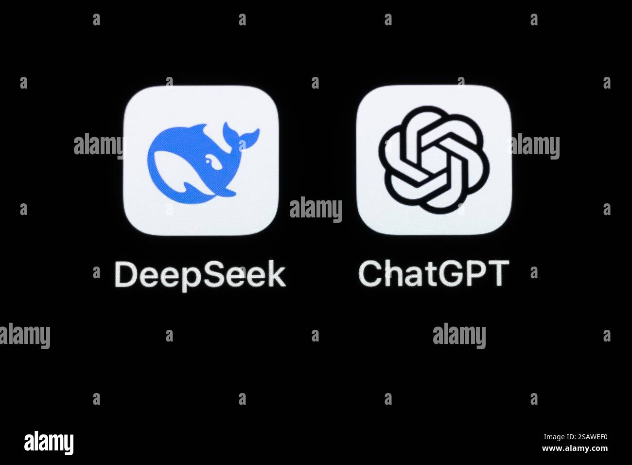 Rottweil, Deutschland. Januar 31, 2025. Die App des chinesischen Start-ups DeepSeek und des US-Softwareunternehmens OpenAI (ChatGPT) ist auf dem Display eines iPhone zu sehen. Quelle: Silas Stein/dpa/Alamy Live News Stockfoto