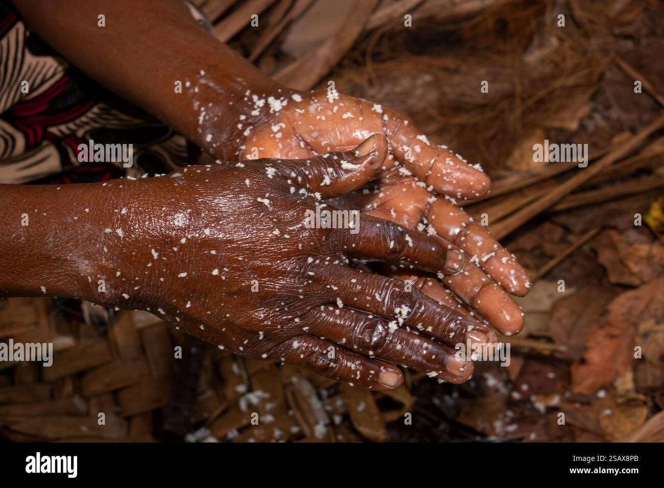 Afrika Tansania, Sansibar, Ostküste, Jambiani, kulturelle Tour durch das Dorf, Frau reinigt und die Hände mit geriebener Kokosnuss weich macht Stockfoto