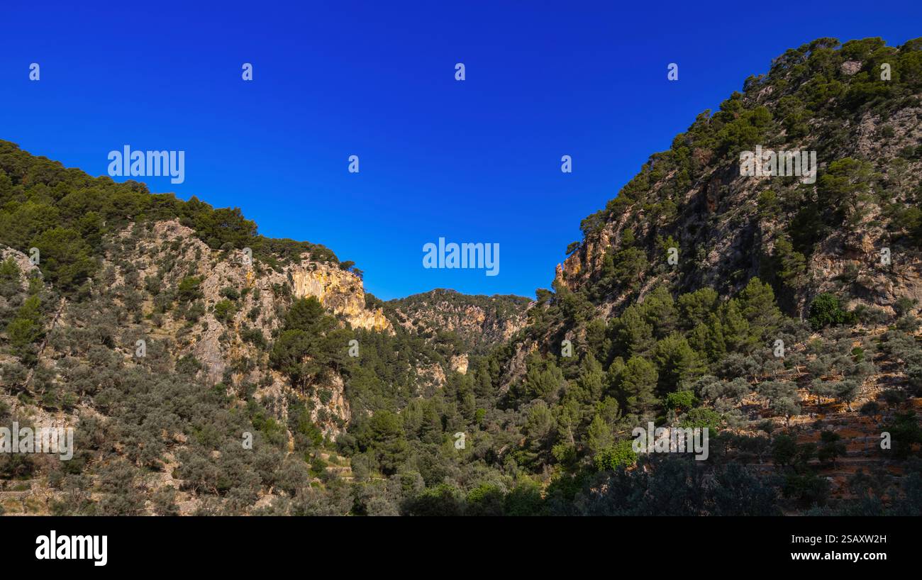Paraje Natural de la Sierra de Tramuntana, UNESCO-Weltkulturerbe, Mallorca, Islas Baleares, Spanien, Europa Stockfoto
