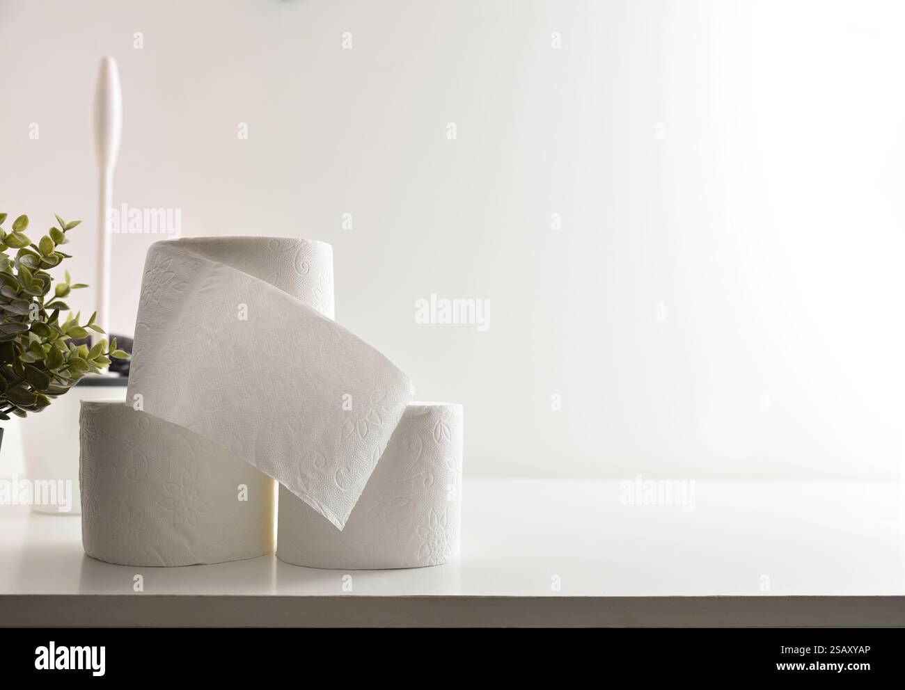 Detail des Stapels weißer Toilettenpapierrollen mit Toilettenbürste und Pflanze mit weißem isoliertem Hintergrund. Vorderansicht. Stockfoto