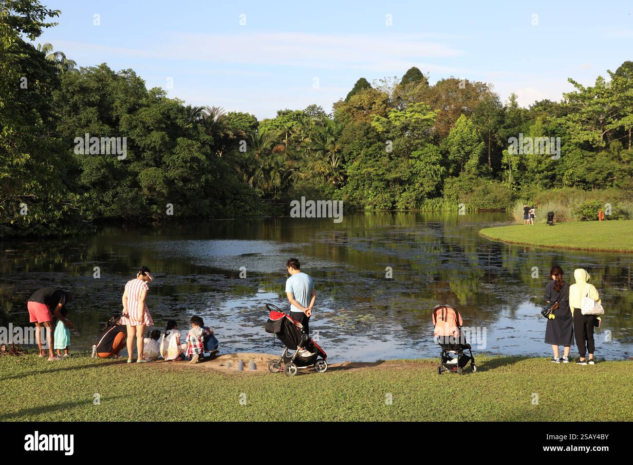 Singapore Botanic Gardens Stockfoto