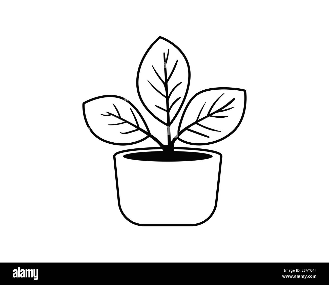 Pflanze in Topf Vektor Symbol für Wohndekoration. Abbildung von schwarzen und weißen Linien für Zimmerpflanzen. ECO-Symbol... Pflanze in Topf Vektor Symbol für Wohndekoration. Schwarze und weiße Strichdarstellung der Zimmerpflanze. Stock Vektor