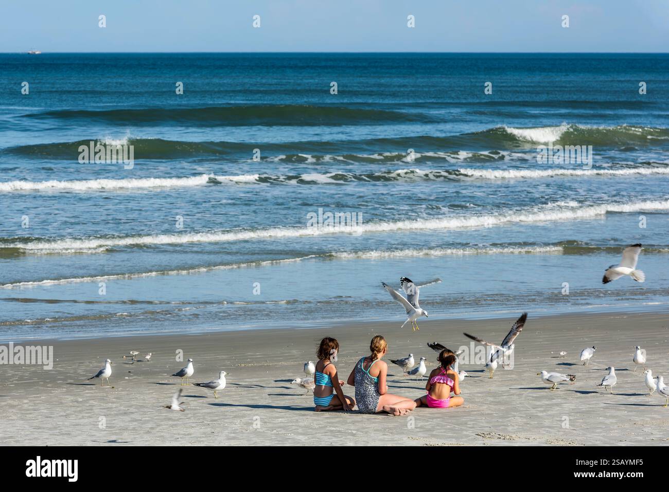 Drei Schwestern, die am Strand sitzen und Ringschnabelmöwen füttern, in Dayona Beach, Florida. Stockfoto