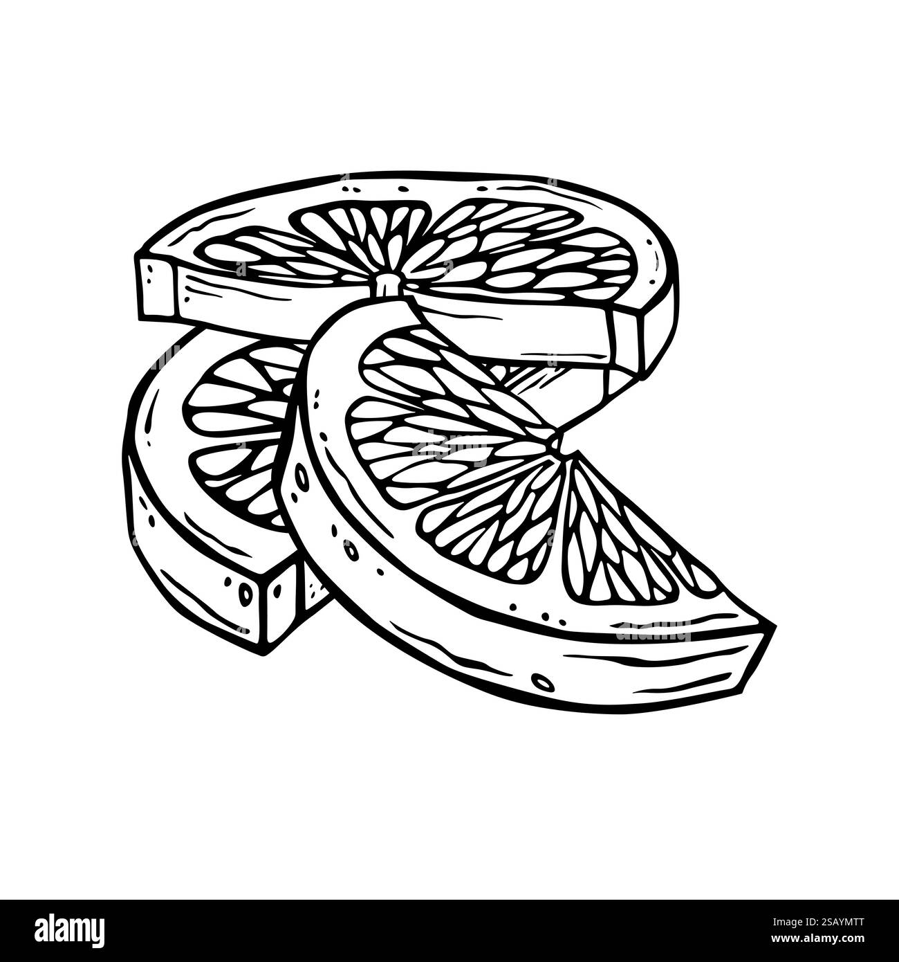 Illustration des Zitronenstücks. Handgezeichnete Tintengrafik von Zitrusfrüchten. Lineare Zeichnung von Kalk. Citron-Umrissskizze. Schwarze Kunst der gehackten Grapefruit Stock Vektor