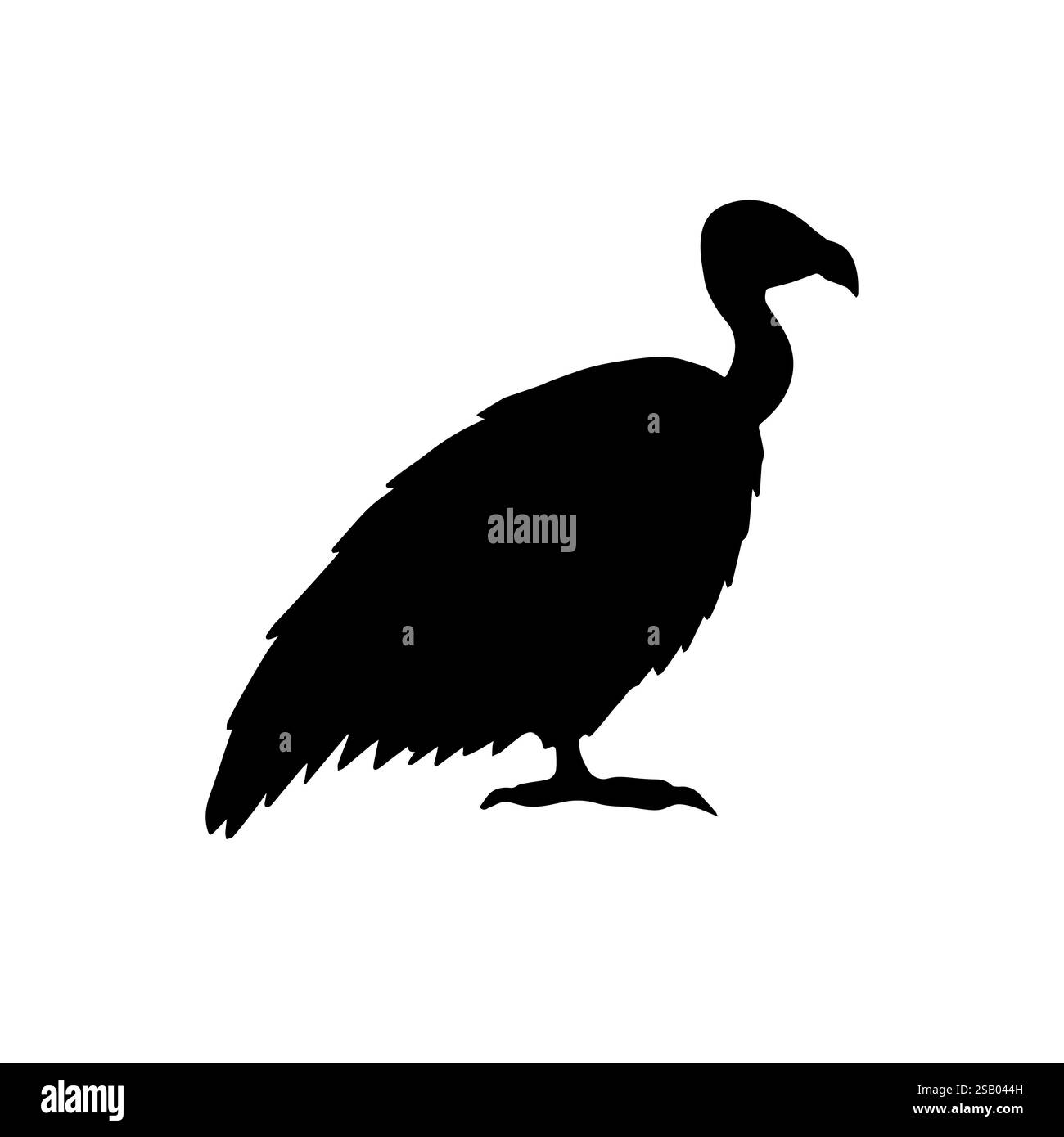 Vektor Hand gezeichnete Gänsegeier Vogel Silhouette isoliert auf weißem Hintergrund Stock Vektor