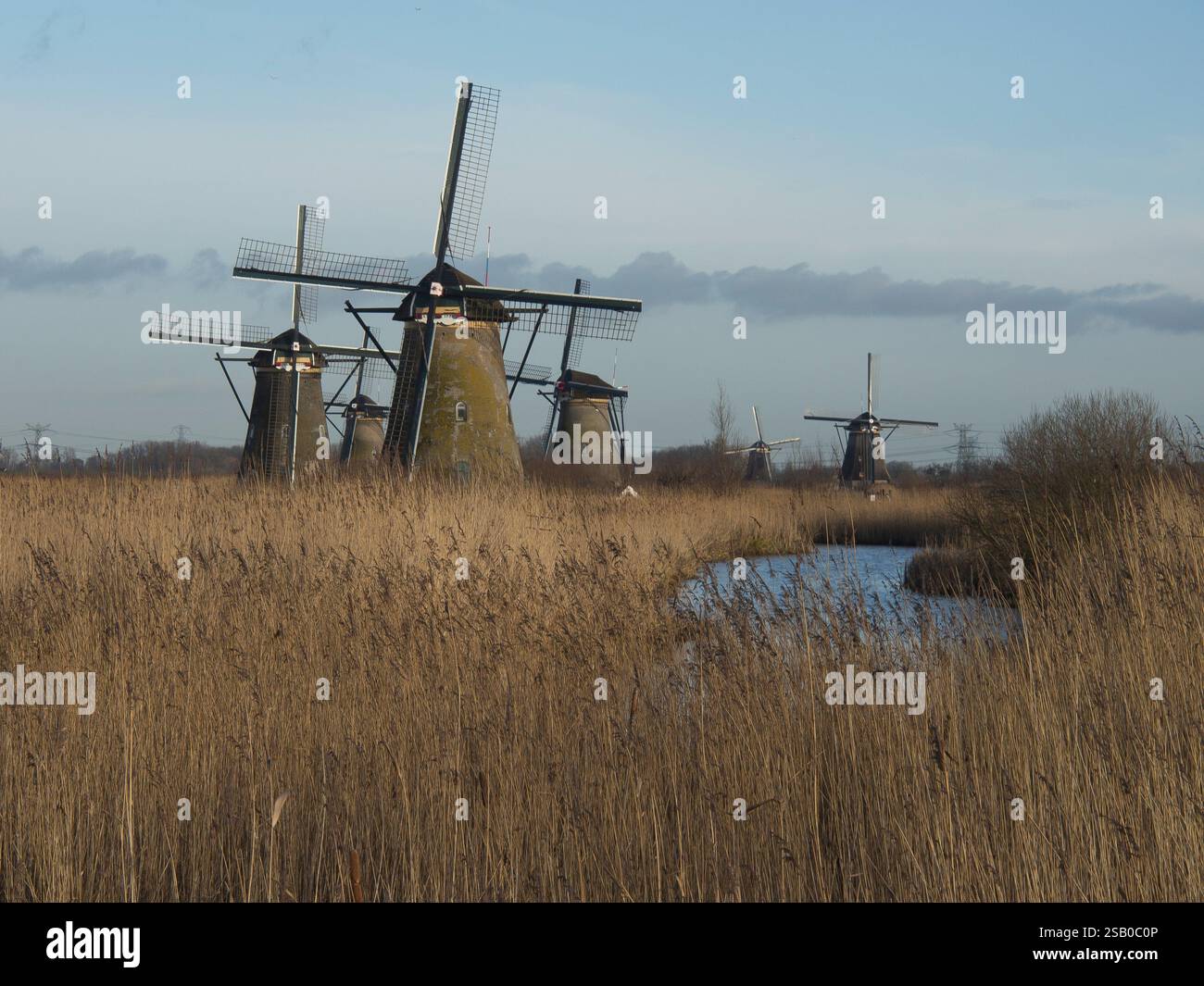 Gruppe von Windmühlen in einer idyllischen Landschaft mit einem Wasserlauf, dordrecht, niederlande Stockfoto