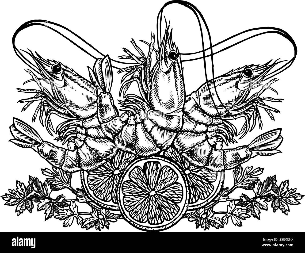 Garnelen mit Zitrone und Kräutern. Eine handgezeichnete Vektorgrafik-Illustration. Schwarzweißbild von Meeresfrüchten. Auf weißem Hintergrund. Für Menüs, Rezeptbuch Stock Vektor
