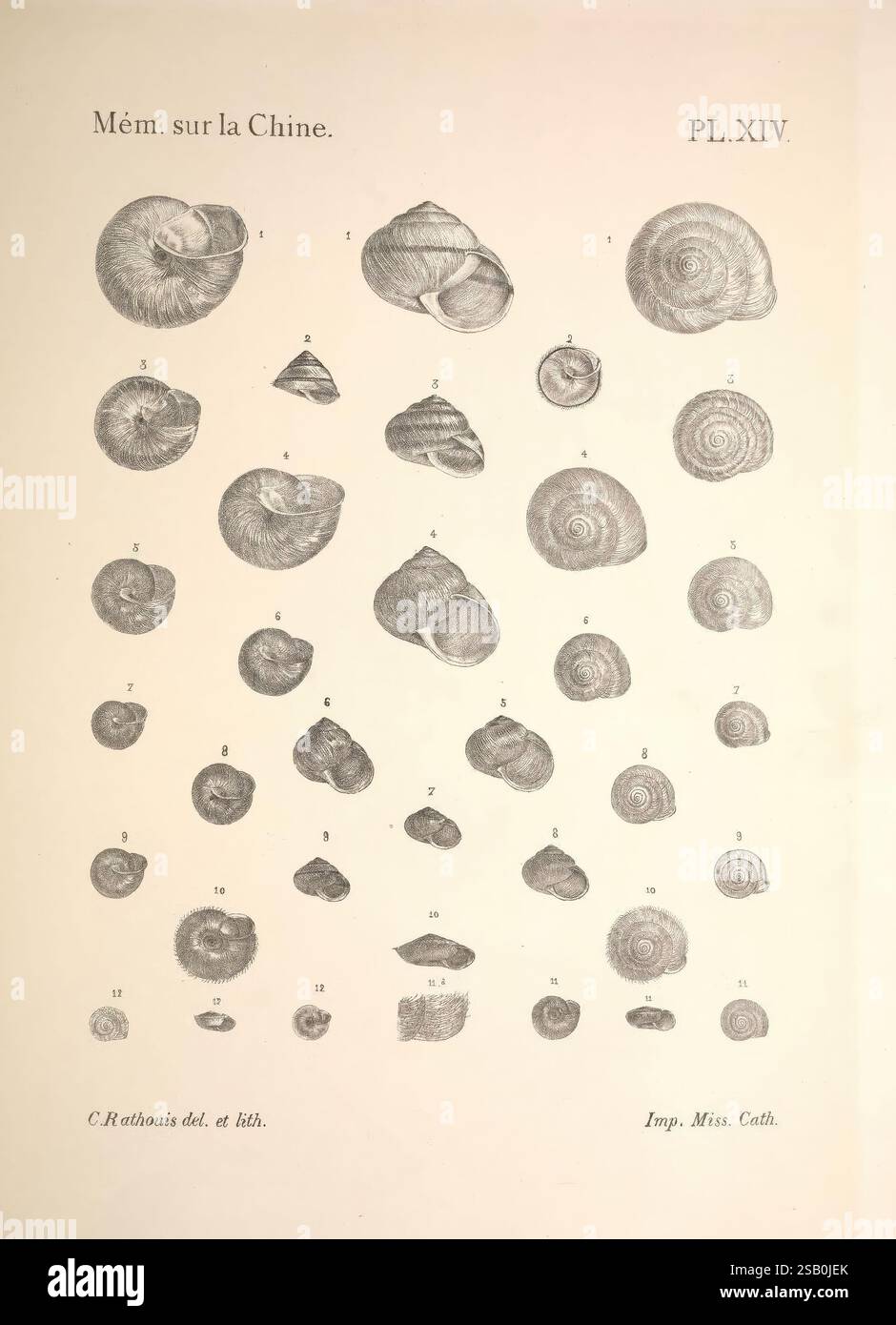 Noten Sur Les Mollusques Terrestres De La Vall e Du Fleuve Bleu Chang Noten sur les mollusques terrestres de la vall e du fleuve bleu chang