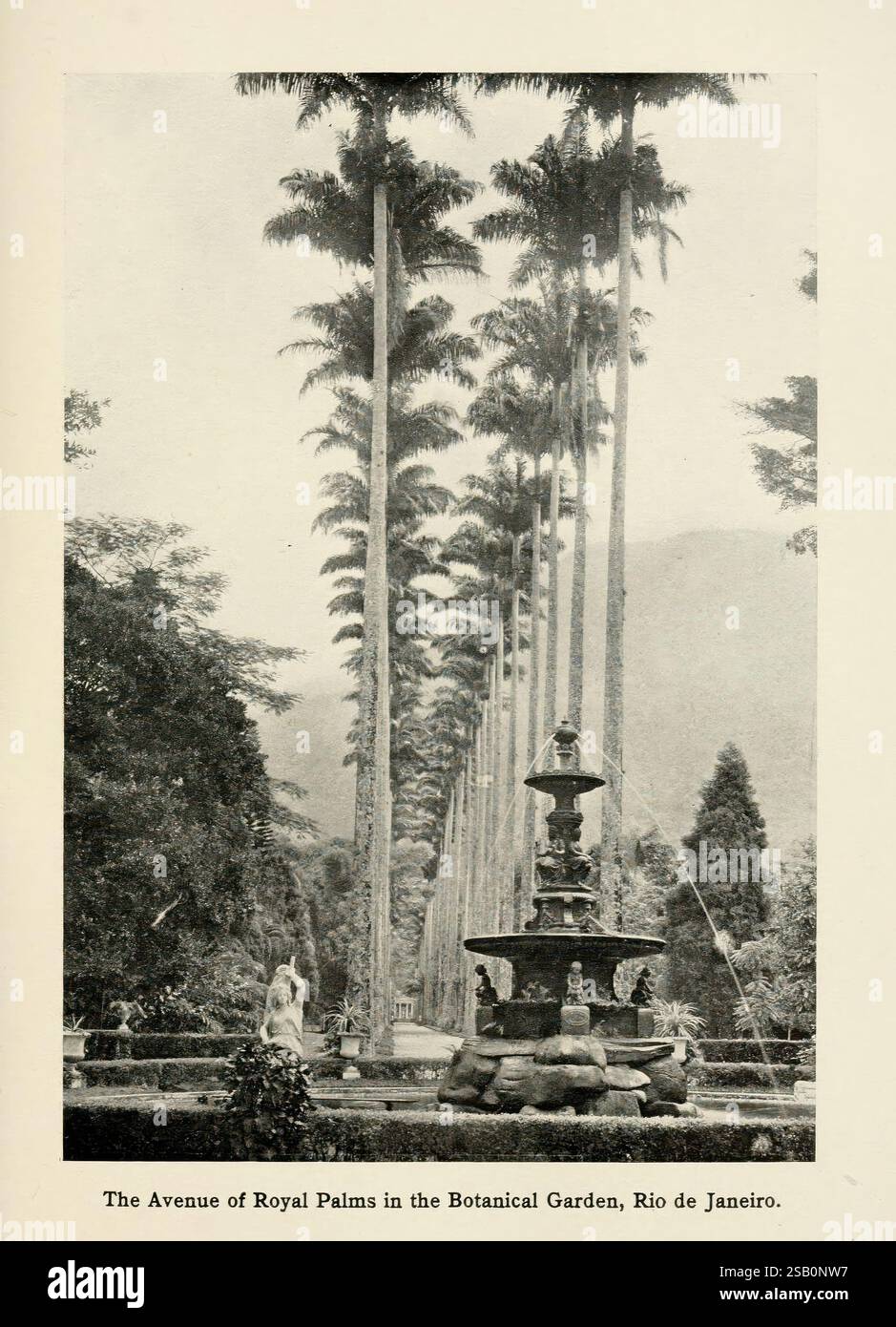 An die River Plate und zurück, New York, G.P. Putnam's Sons, 1913, Brasilien, Argentinien, der Botanische Garten New York, Beschreibung und Reisen Stockfoto