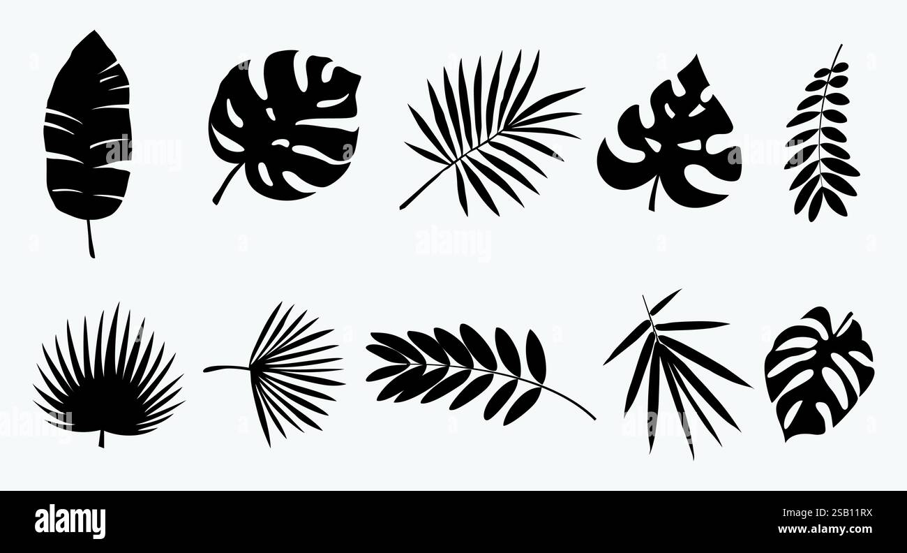 Tropische Blätter Set. Vektor-Illustration, Blatt Silhouetten Set, Monstera deliciosa tropischen Blatt Hintergrund Stock Vektor