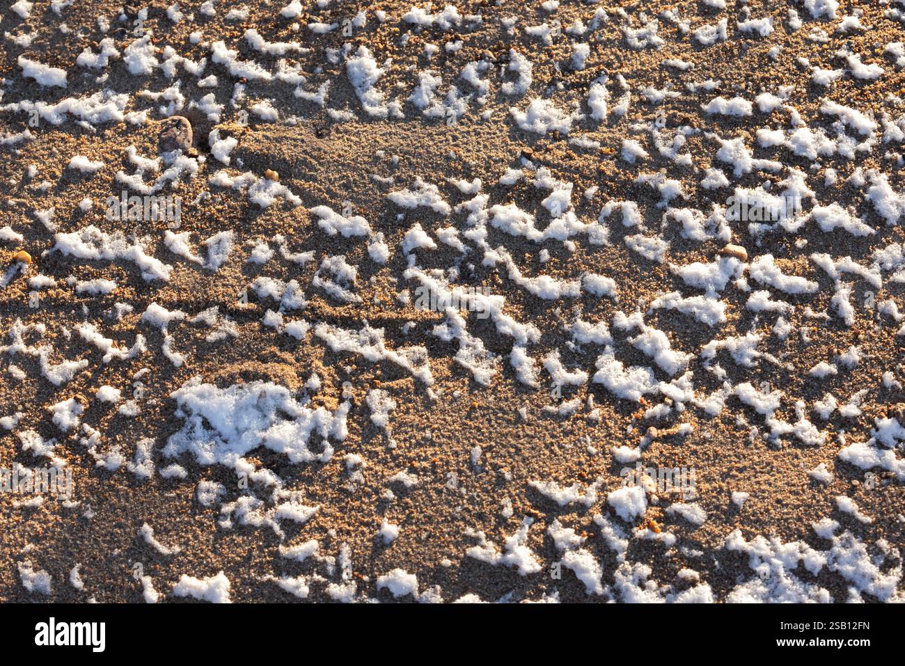 Sand bedeckt mit schmelzendem Schnee am Strand. Eingefrorenes Grundmuster. Ostseeküste an einem sonnigen Wintertag. Abstraktes Foto mit natürlichem Hintergrund Stockfoto