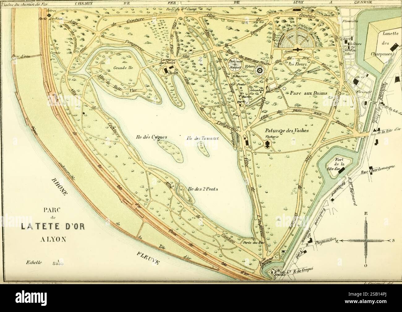 Revue horticole, Paris, Librairie agricole de la maison rustique, 1829-1974, Frankreich, Gartenbau, Zeitschriften, Eine detaillierte Karte, die das Layout des Parc de la Tête d’Or in Lyon, Frankreich, darstellt. Die verschiedenen Wege und Grünflächen sind deutlich markiert und zeigen die weitläufigen Gärten und von Bäumen gesäumten Gehwege. Malerische Besonderheiten wie ein großer See, Gebäude wie das Palais des Congrès und ausgewiesene Bereiche für Aktivitäten deuten auf das Freizeitangebot des Parks hin. Die umliegenden Straßen sind beschriftet, zusammen mit bemerkenswerten Sehenswürdigkeiten, die die Erreichbarkeit des Parks innerhalb der Stadt anzeigen. Das Topograp Stockfoto
