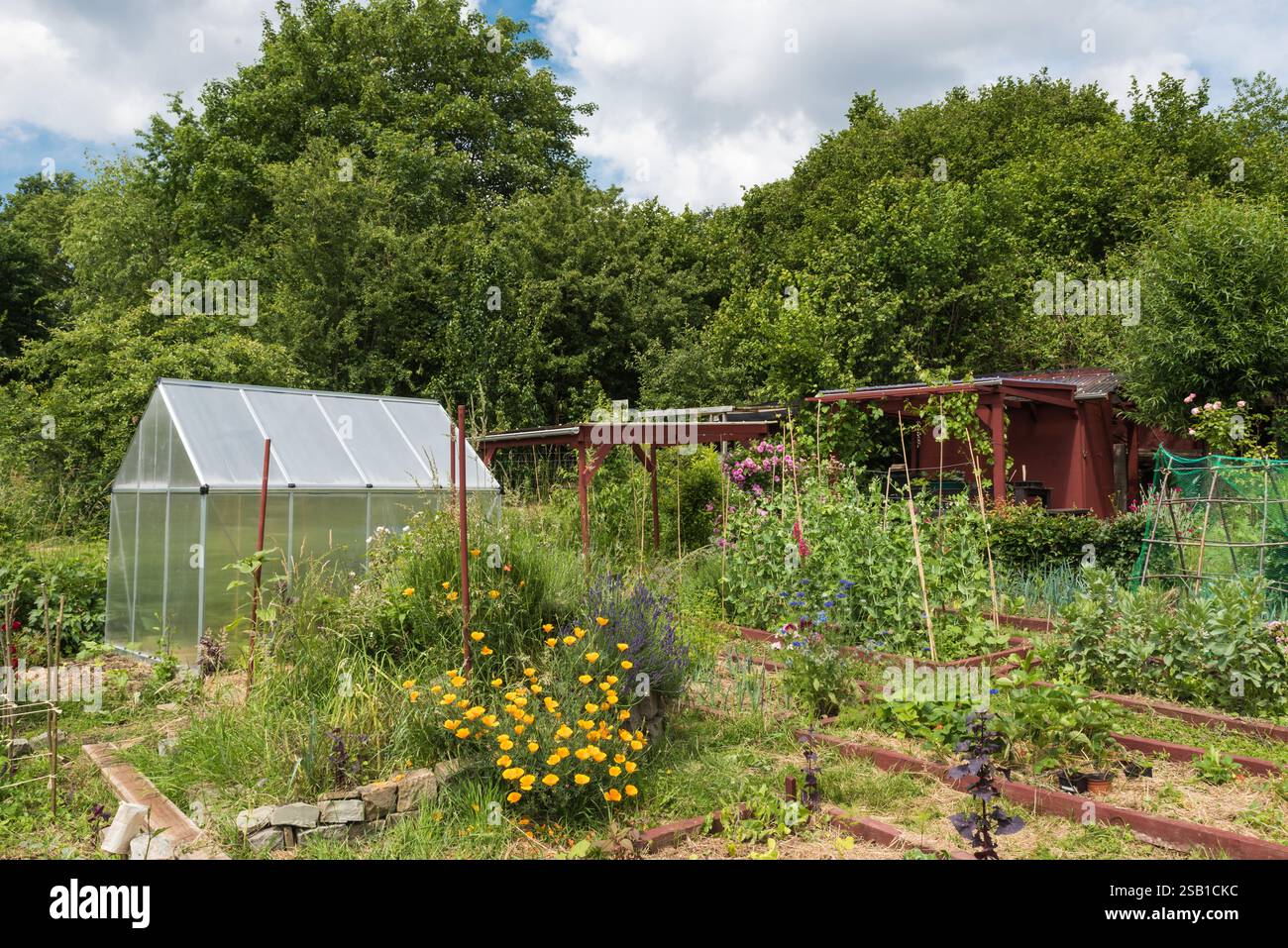 Uccle, Brüssel / Belgien - 06 14 2019: Hölzernes Gartenhaus mit Tisch und Stühlen in einem Küchengarten in einem Naturschutzgebiet und Park Stockfoto