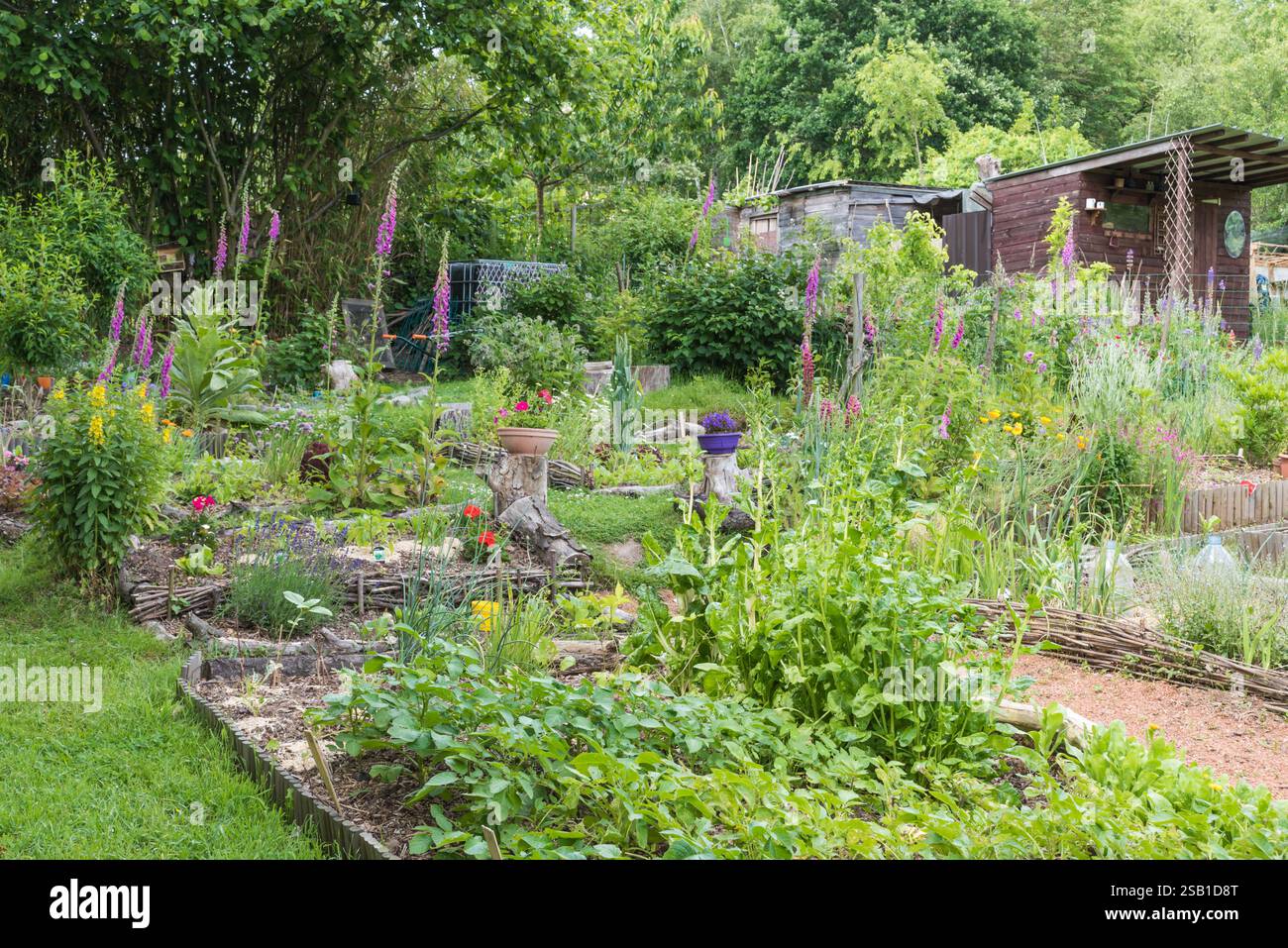 Uccle, Brüssel Belgien - 06 14 2019 Gartenhaus aus Holz und Schuppen in einem Küchengarten im Naturschutzgebiet Avijl Plateau und Park Stockfoto