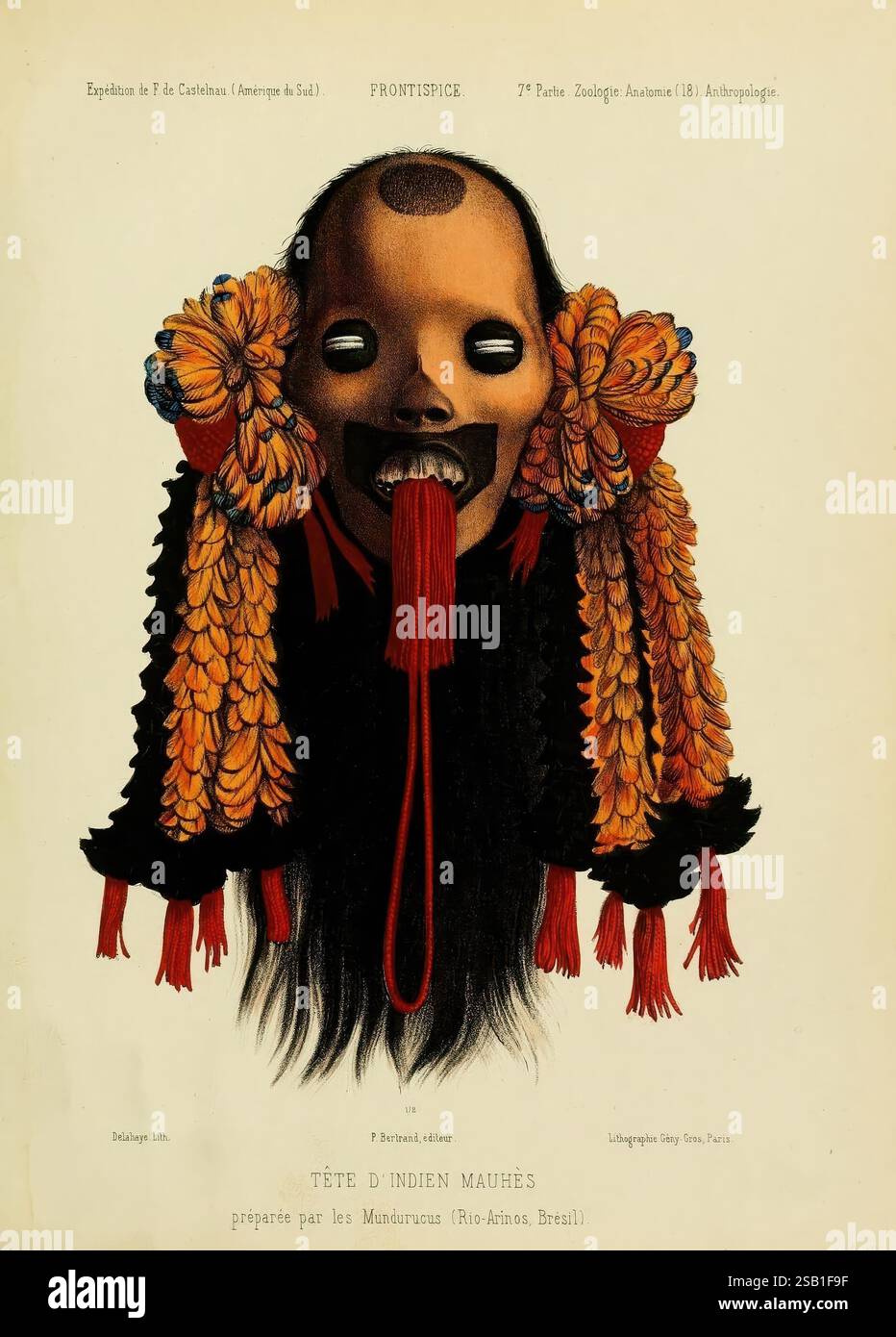 Expédition dans les Parties centrales de l’Amérique du Sud Paris, Chez P. Bertrand, 1850–1859., Eine auffällige anthropologische Illustration, die eine traditionelle indigene Maske der brasilianischen Munduruku darstellt. Die Maske zeigt übertriebene Gesichtsausdrücke mit dunklen Augen und einem breiten, unheimlichen Grinsen. Er ist mit floralen Elementen aus Federn und Stoff verziert, die von beiden Seiten anmutig drapiert sind. Die komplizierten Details verdeutlichen die kulturelle Bedeutung und künstlerische Handwerkskunst der Munduruku und betonen die Rolle der Masken in ihren Ritualen und ihrer Identität. Um die MAS herum Stockfoto