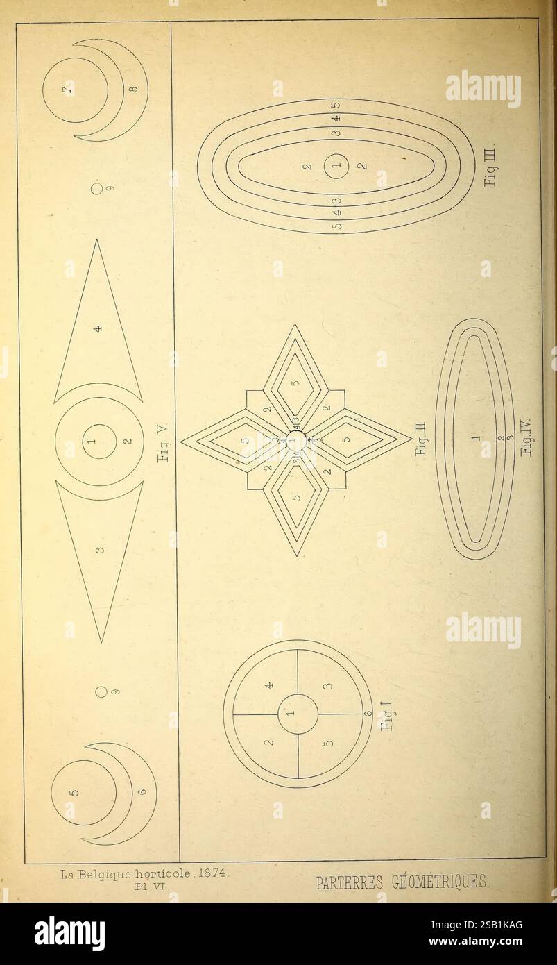 Belgien, Gartenbau, Lüttich, Botanik, Gartenbau, Zeitschriften, Pflanzen, die Illustration zeigt eine Reihe von geometrischen Gartendesigns, die jeweils mit bestimmten Mustern und Zahlen als Referenz gekennzeichnet sind. Die Entwürfe umfassen ein Oval, eine längliche Dreiecksform und eine sternförmige Konfiguration, die alle als Vorlagen für Gartenlayouts dienen sollen. Jedes Design ist sorgfältig mit numerischen Markierungen versehen, die wahrscheinlich die Platzierung oder die Abmessungen andeuten, was ihre Nützlichkeit für die Gartenbauplanung erhöht. Die Gesamtkomposition unterstreicht den ästhetischen Reiz geometrischer Formen im Landschaftsbogen Stockfoto