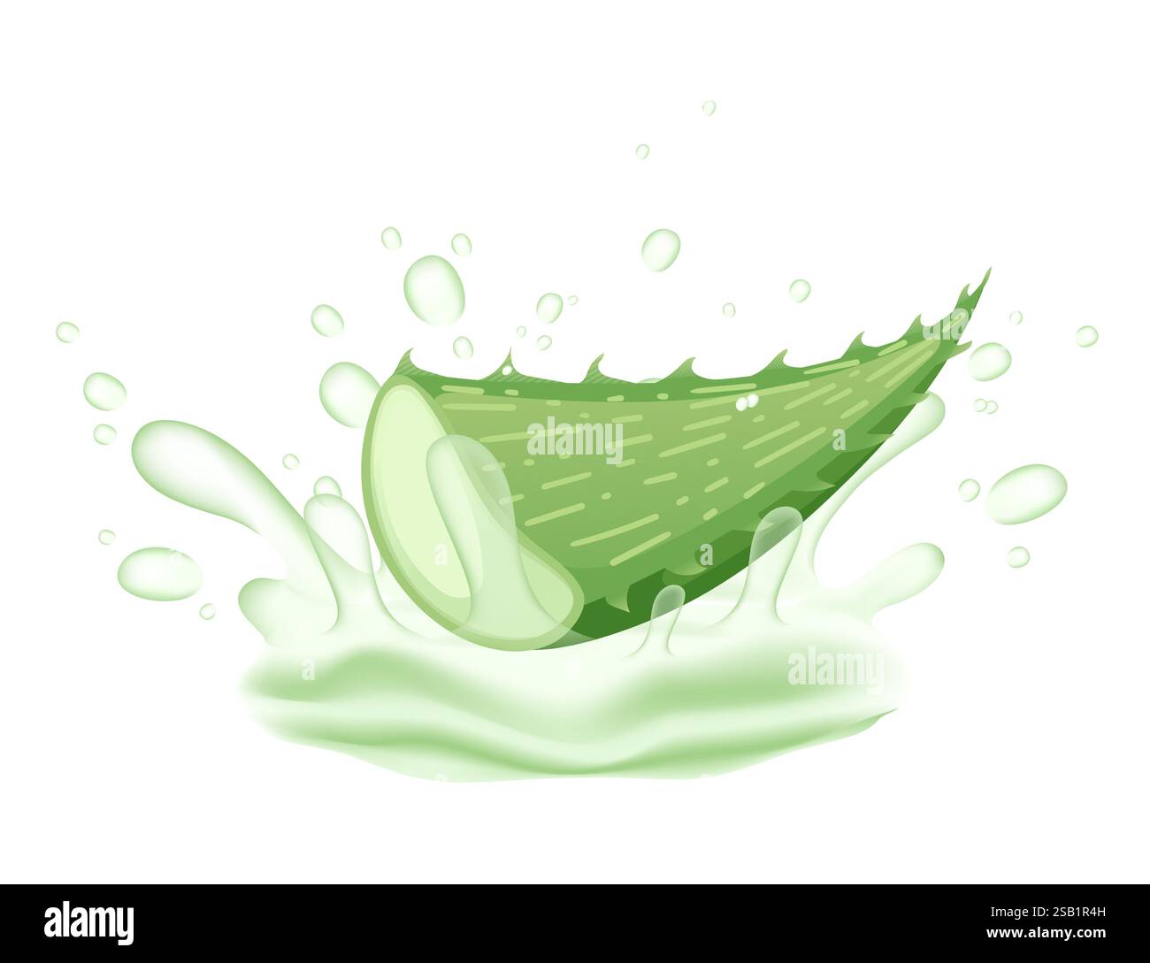Geschnittenes Stück Aloe Vera mit geschwungener Form. Grün, dick und fleischig mit sichtbarer Hydration. Transparentes Gel, das aus dem Schnitt austritt. Wassertröpfchen su Stock Vektor