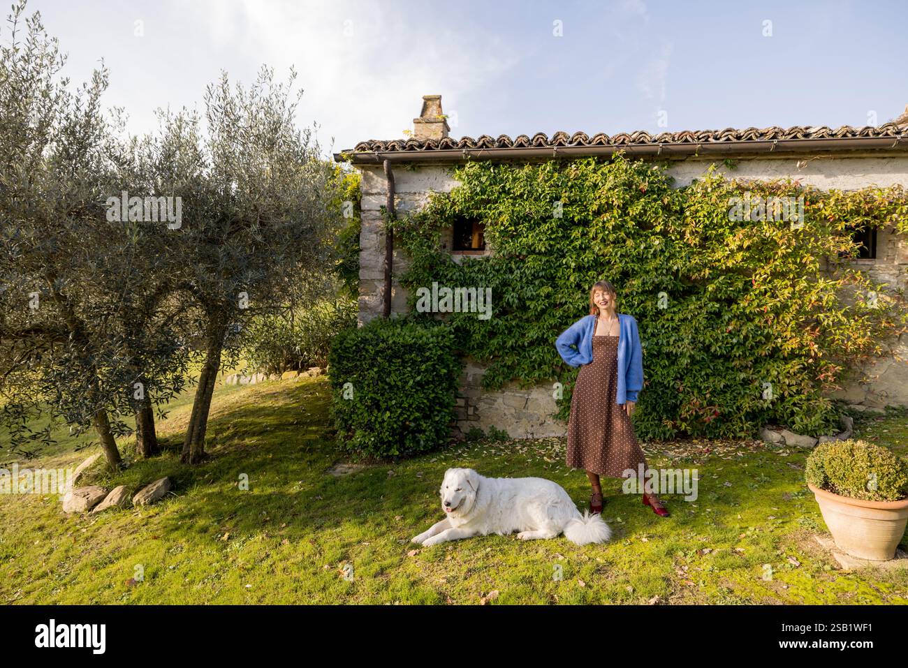 Efeu unter bumen -Fotos und -Bildmaterial in hoher Auflsung  Alamy
