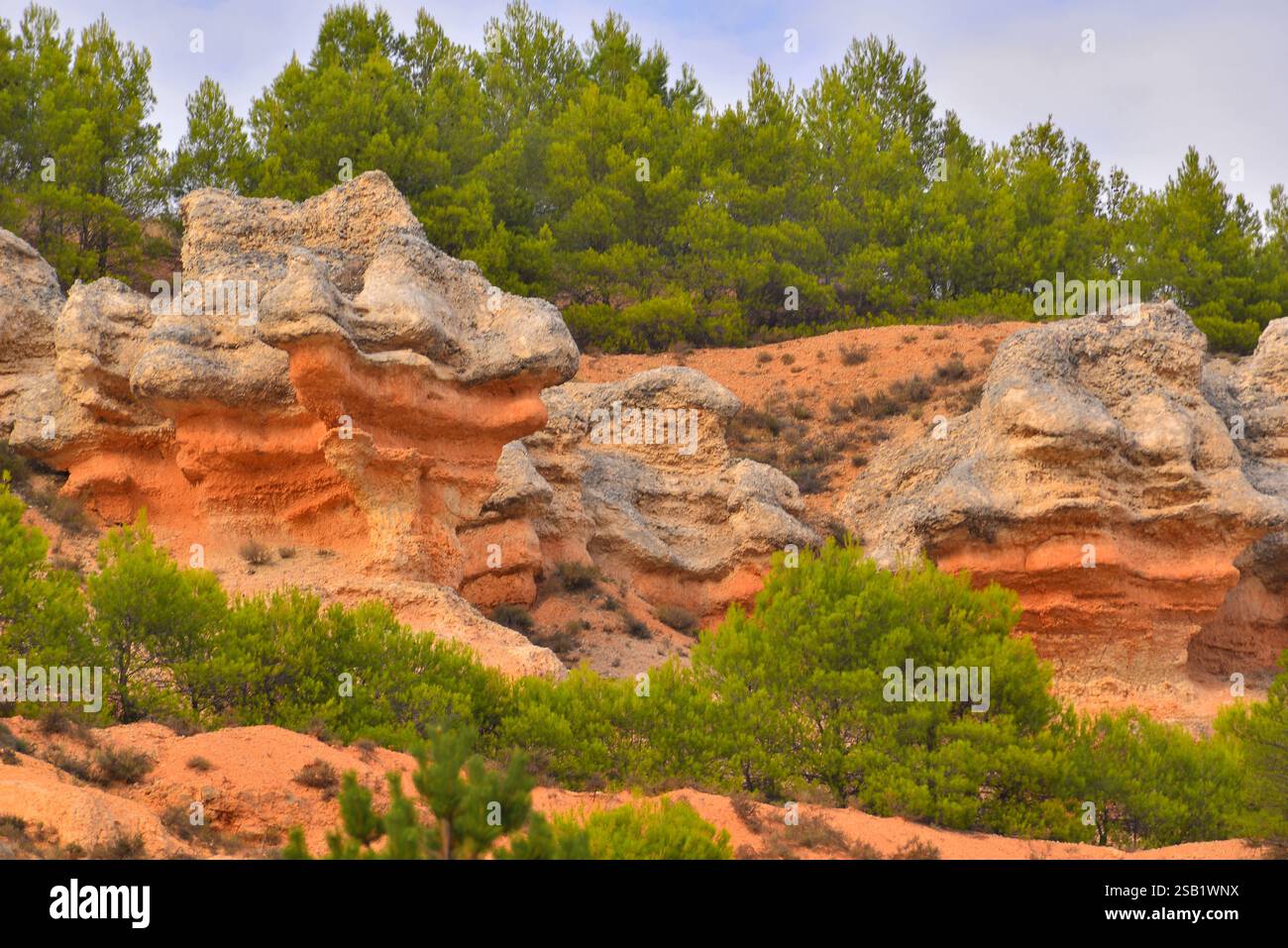 Sedimentgesteinsschichten inmitten grüner Vegetation Stockfoto