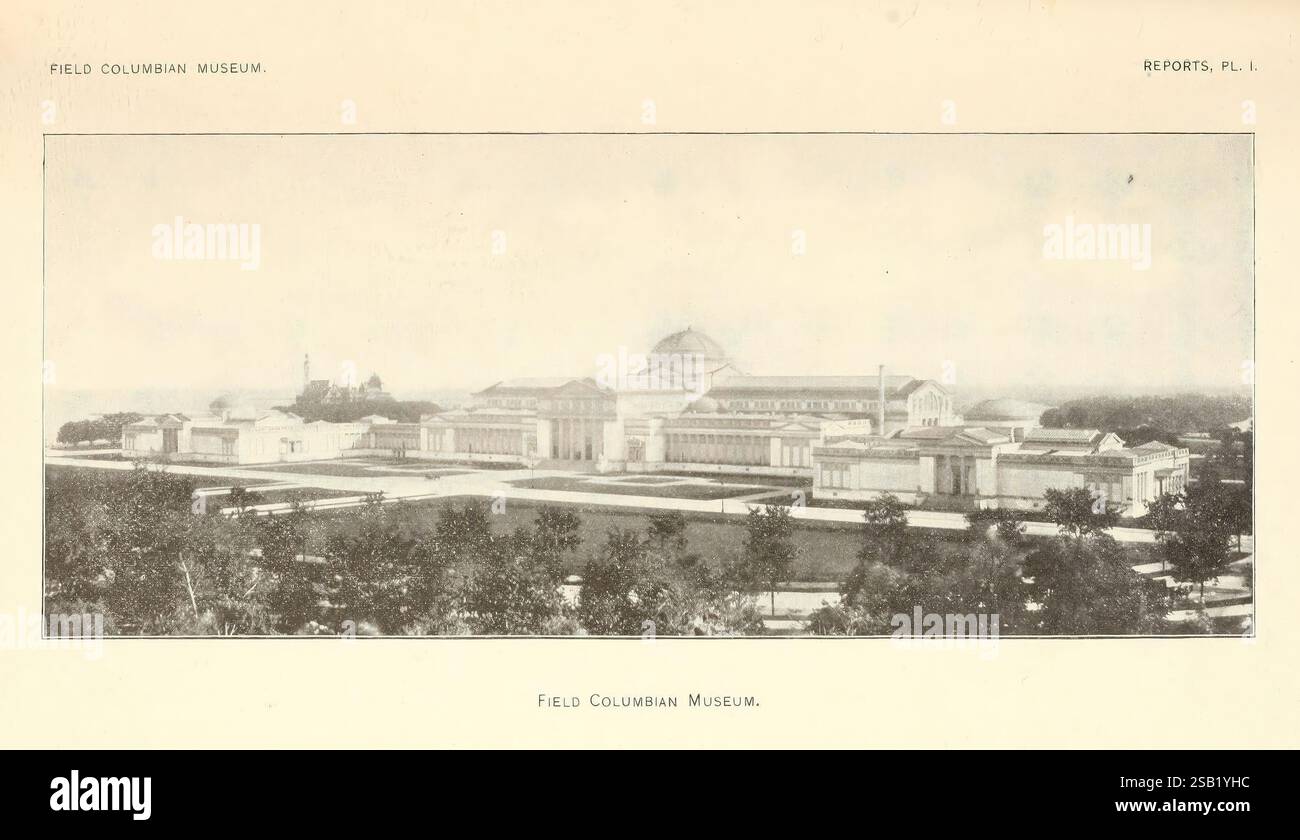 Jährlich, Bericht, von, Direktor an, der Vorstand, der Treuhänder, für die, Year, Chicago, USA, Field, Columbian, Museum, 1895-1905, Field, Columbian, Museum, natürlich, Geschichte, Zeitschriften, die Szene fängt die große Architektur eines Ausstellungsraumes ein, gekennzeichnet durch eine Reihe von Kuppeln und eleganten Strukturen, die ein Gefühl von Größe und historischer Bedeutung suggerieren. Um die Gebäude herum sind gut gepflegte Bäume und landschaftlich gestaltete Bereiche, die eine harmonische Mischung aus Natur und Architektur schaffen. Die komplizierten Details der Gebäude werden hervorgehoben und zeigen Bögen und Säulen, die sich widerspiegeln Stockfoto