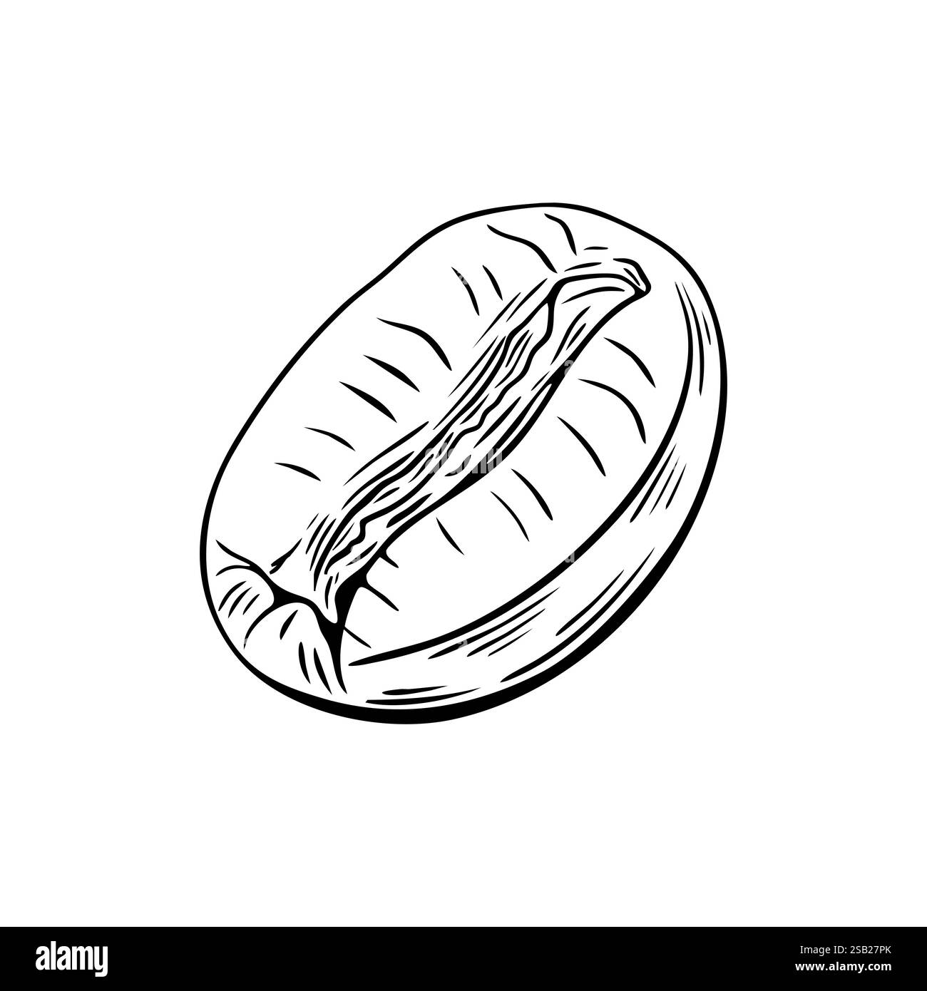 Gravur, Kaffeebohne, Vektorillustration in Farbe und Linienskizze Stock Vektor