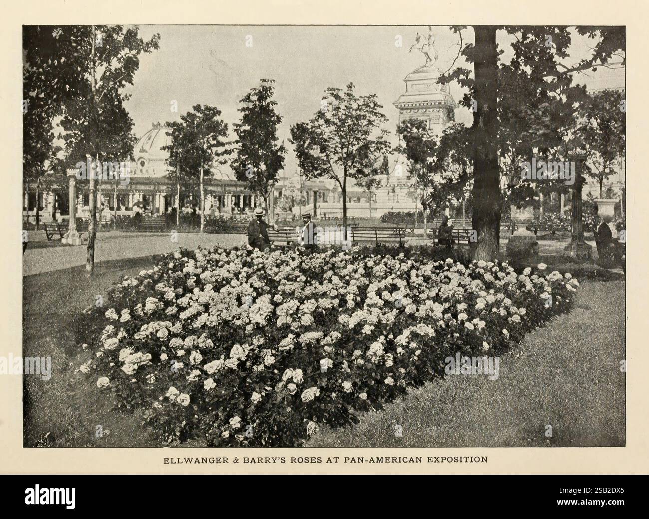 Neuheiten und Spezialitäten von Ellwanger & Barry. Rochester, N.. Y, Ellwanger & Barry, [1903]. Blumen, Rosen, Pflanzen, Obst, Kataloge, Zierbäume, Baumschulen, Panamerikanische Ausstellung, Ellwanger Barry, Gartenbau, Garden Stories, in Bloom, Ein wunderschön gestalteter Garten mit einer Fülle von blühenden Pflanzen, die eine lebhafte Vielfalt an Blüten zeigen. Im Hintergrund deutet die klassische Architektur auf eine bedeutende Struktur hin, möglicherweise einen Pavillon oder eine Ausstellungshalle, was darauf hindeutet, dass die Umgebung auf eine große Veranstaltung oder Ausstellung ausgerichtet ist. Die Szene wird von hohen Bäumen eingerahmt Stockfoto